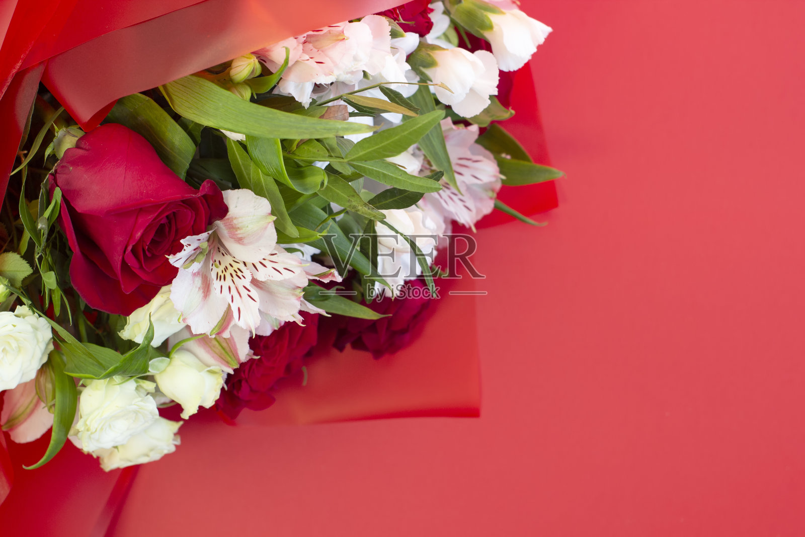 明亮的勃艮第和彩色鲜花在一个红色背景的近景照片摄影图片