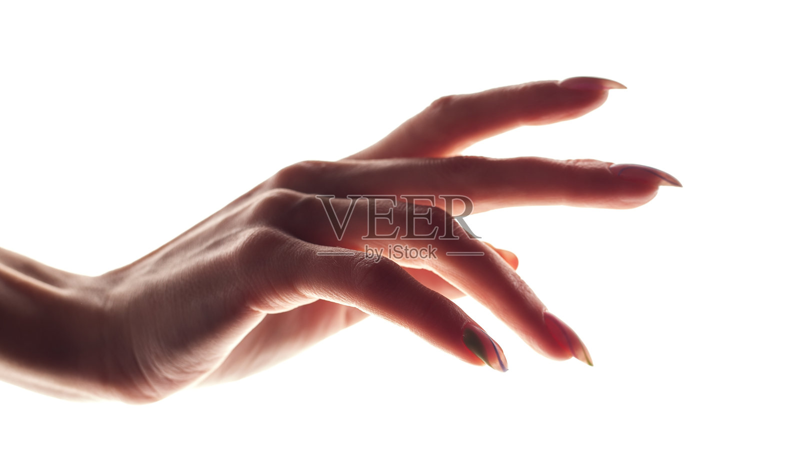 白色背景上的女性手照片摄影图片