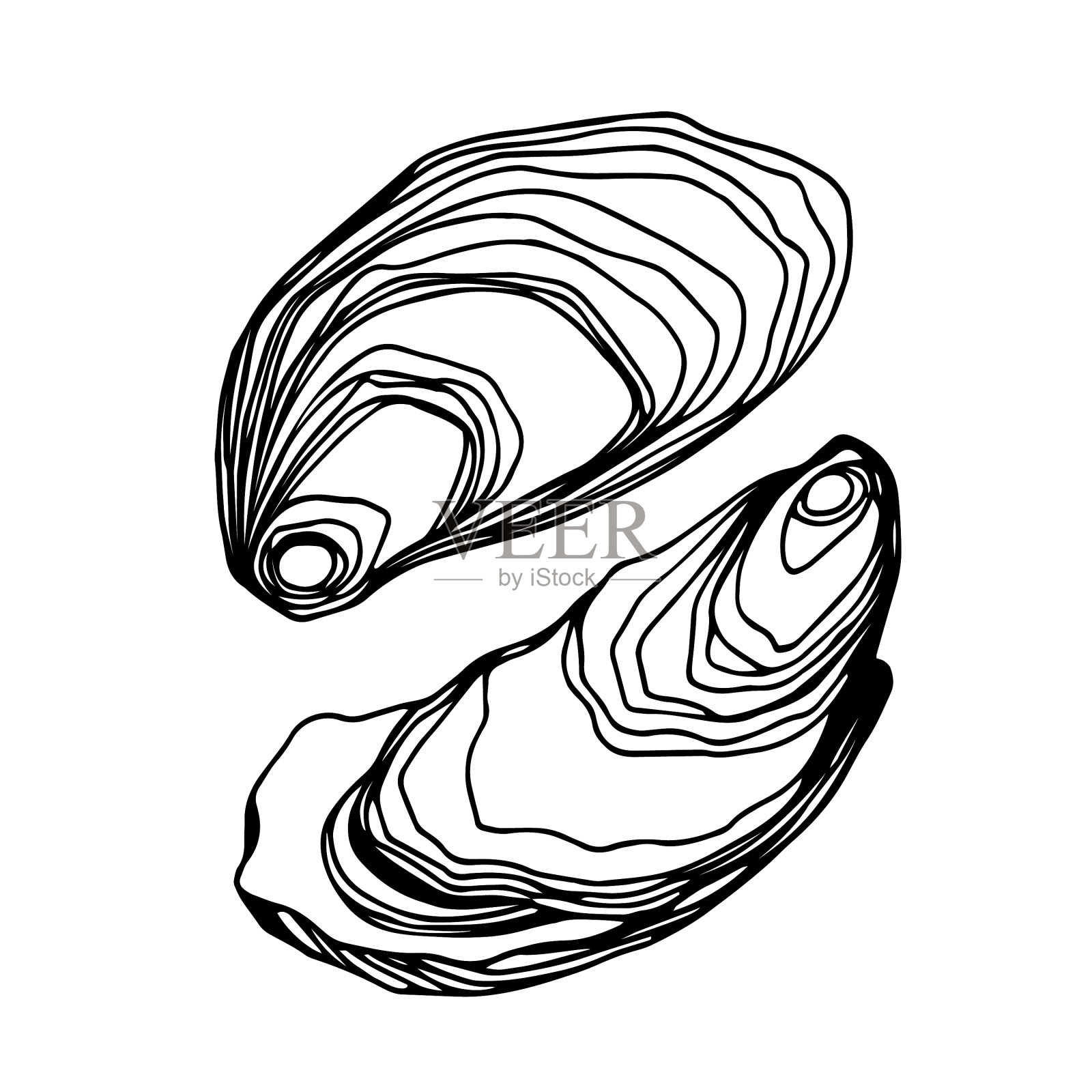 牡蛎壳里有美味的海鲜设计元素图片