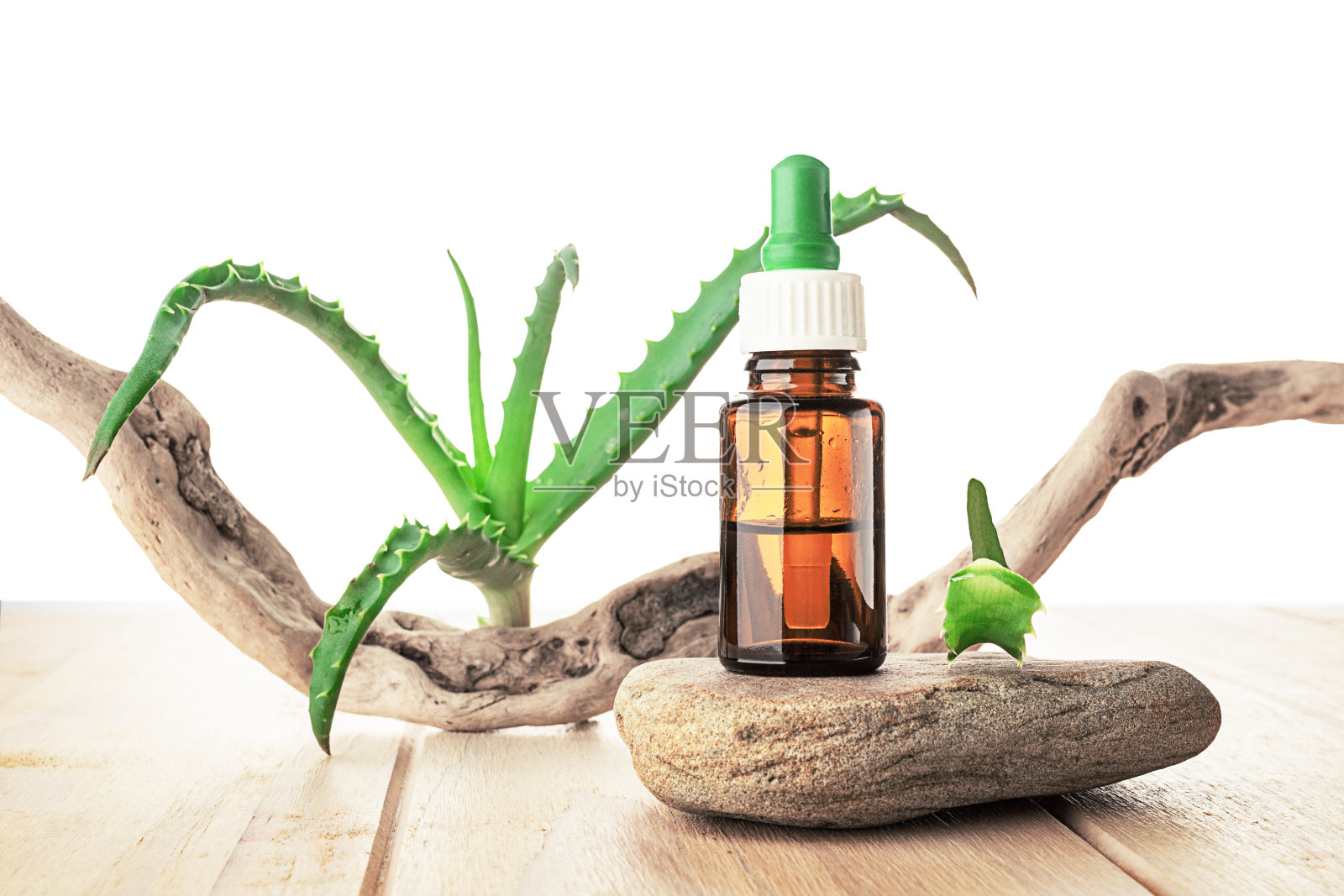 芦荟。照片摄影图片