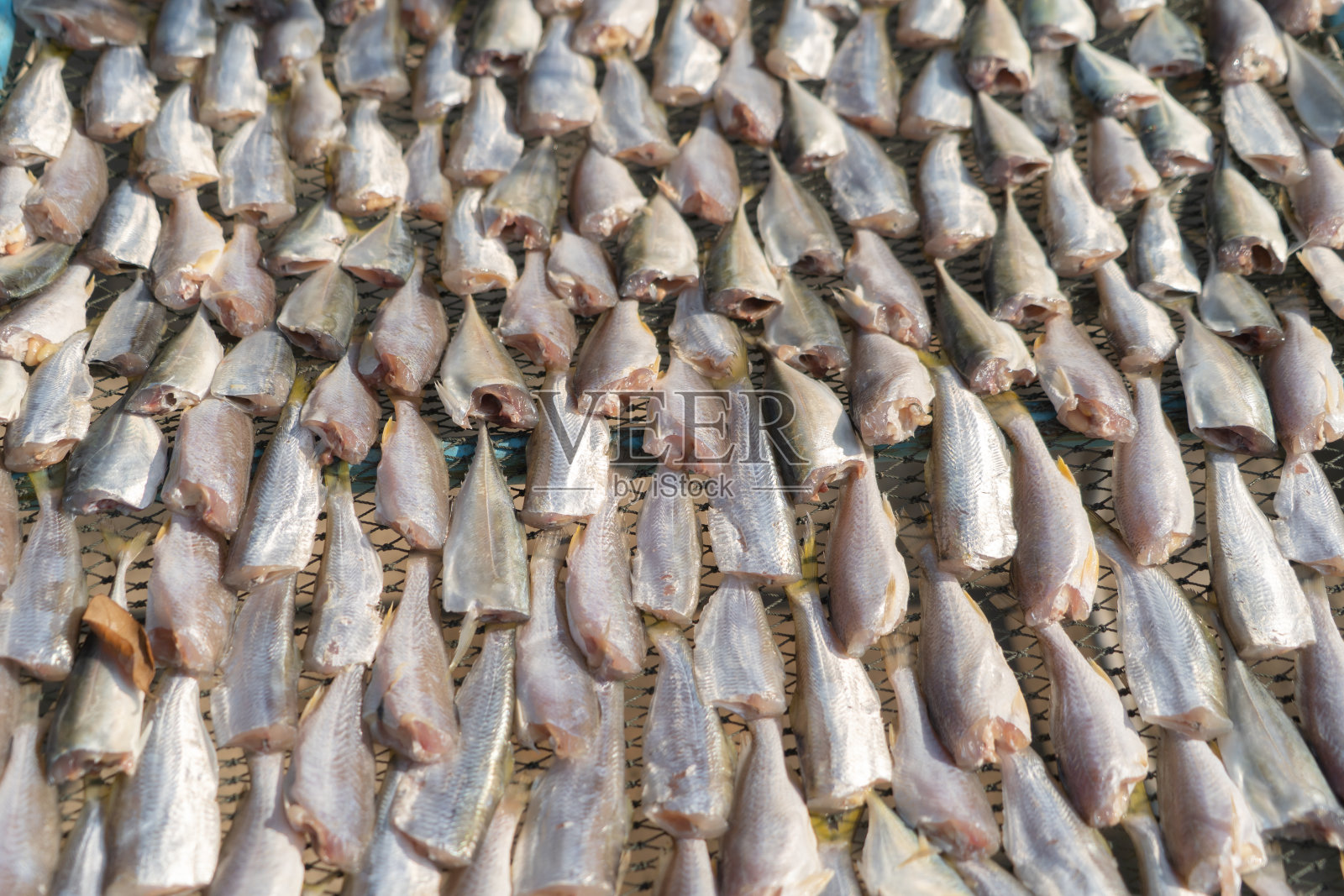 当地市场上一排排传统咸鱼晒干。烹饪或出售的新鲜食品。渔业产业。死的动物。照片摄影图片