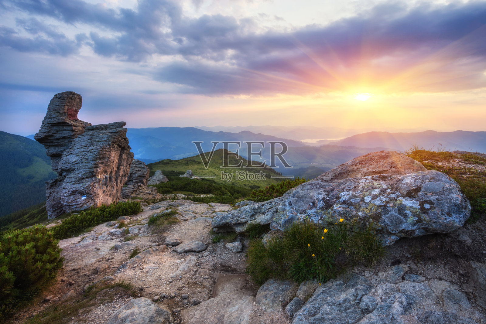美丽的夏季风景在山上。照片摄影图片