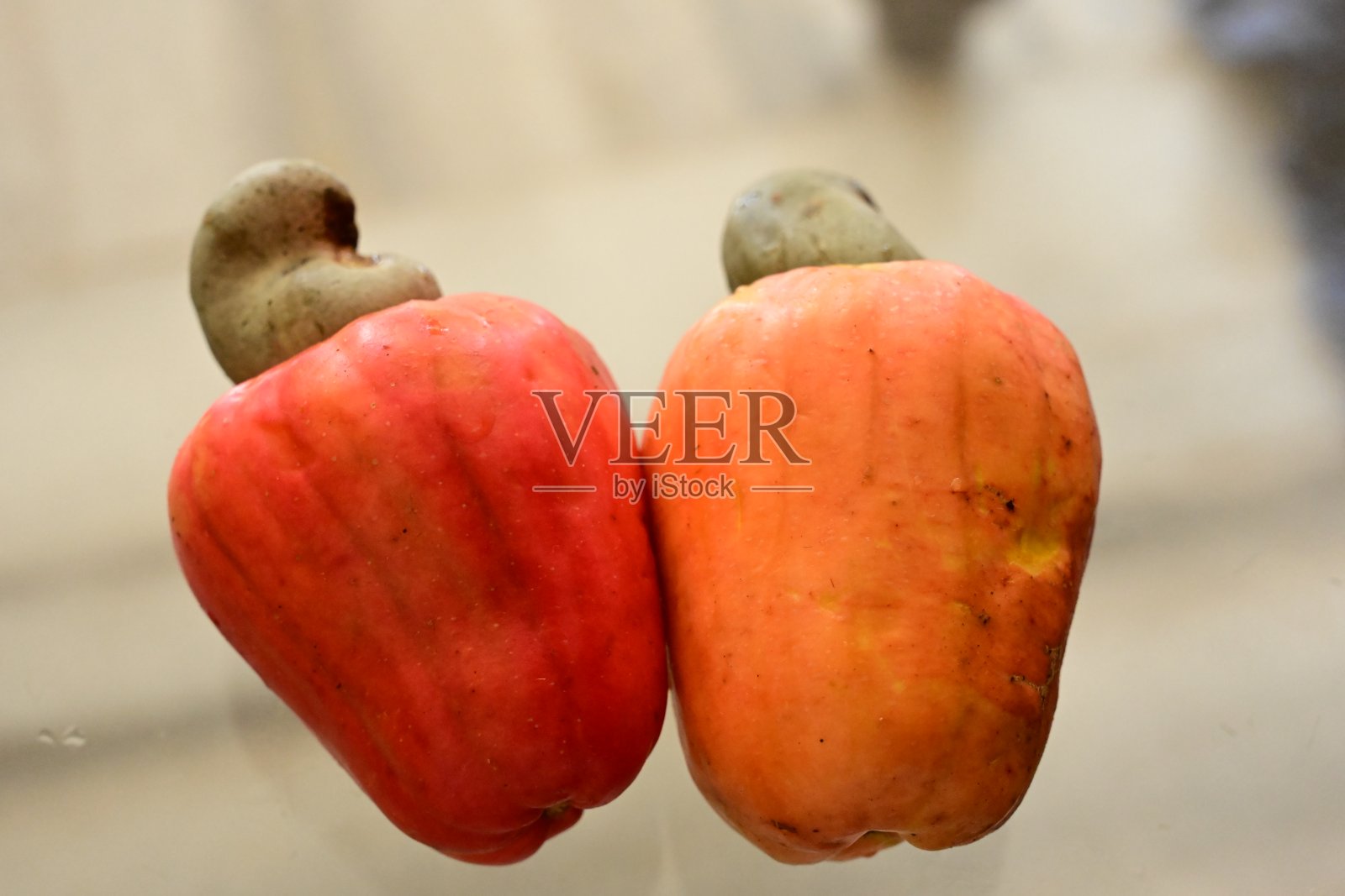 腰果果实成熟照片摄影图片