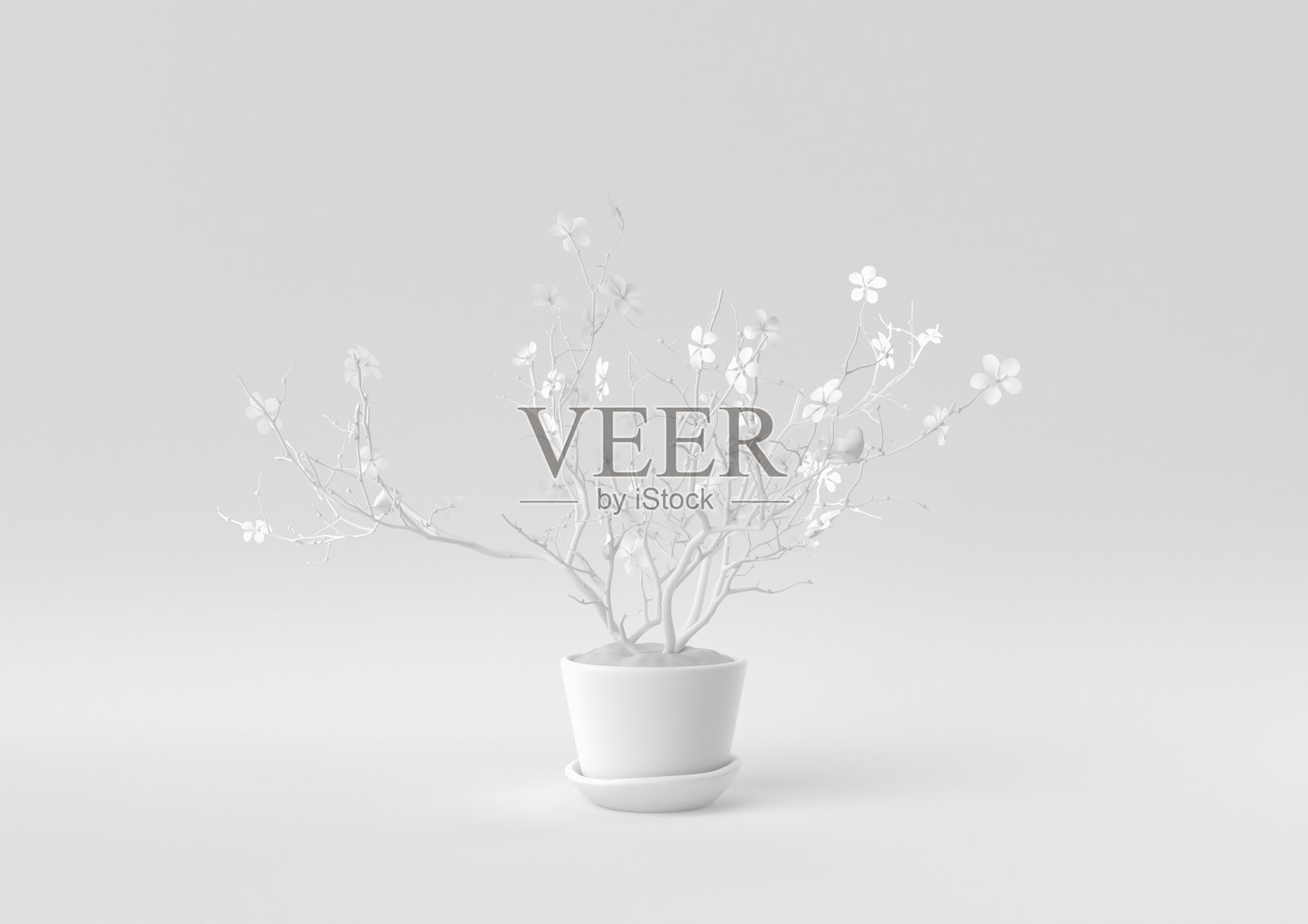 白色的树花盆在白色的背景。最小概念创意。单色。3 d渲染。照片摄影图片