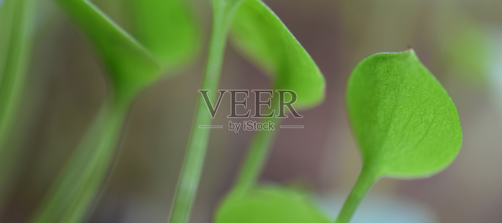 摘要背景的网页横幅与空间的文本。高清图像和大分辨率。可以用作墙纸吗照片摄影图片