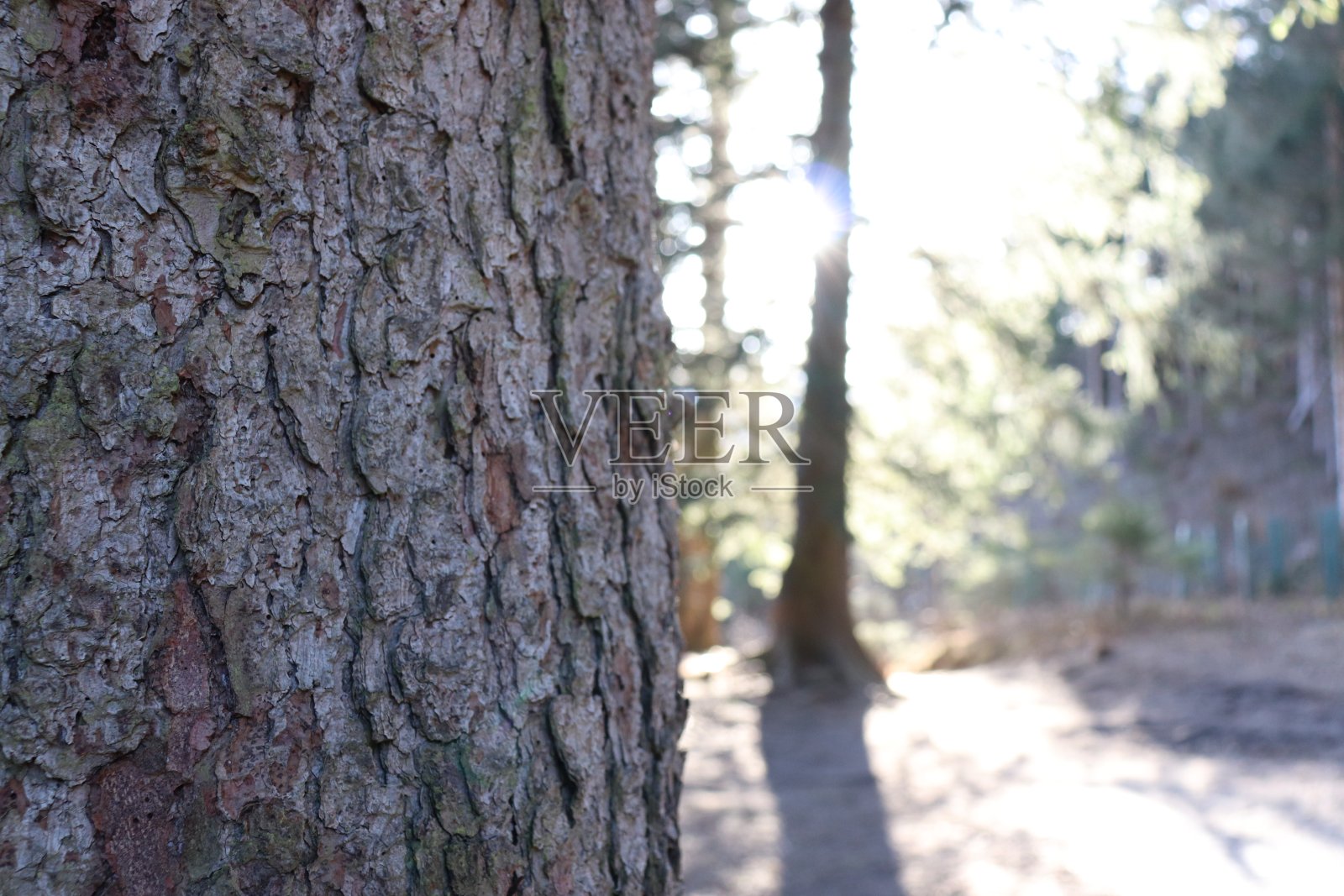 提洛尔照片摄影图片