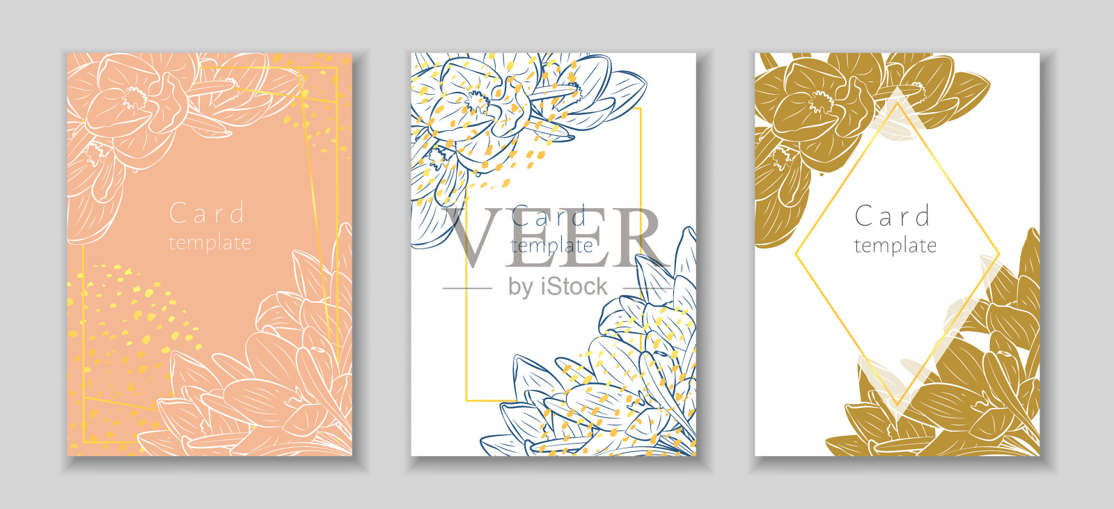 用手绘番红花设置矩形框架插画图片素材