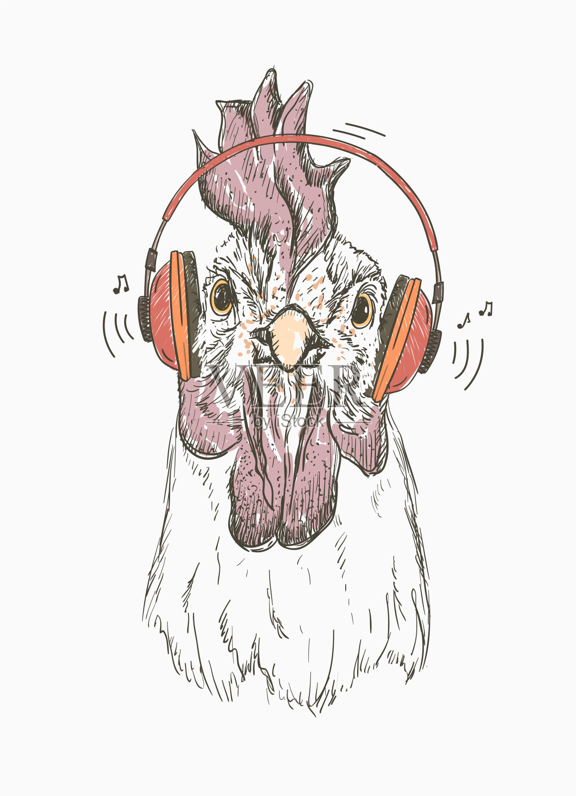母鸡或公鸡用耳机听音乐插画图片素材