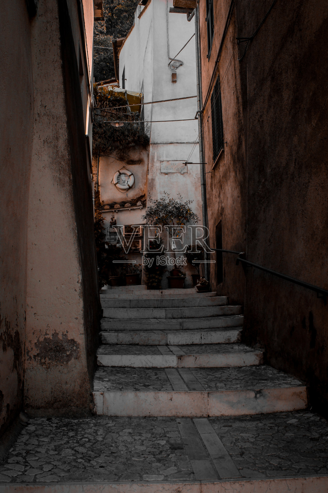 蒲公英照片摄影图片