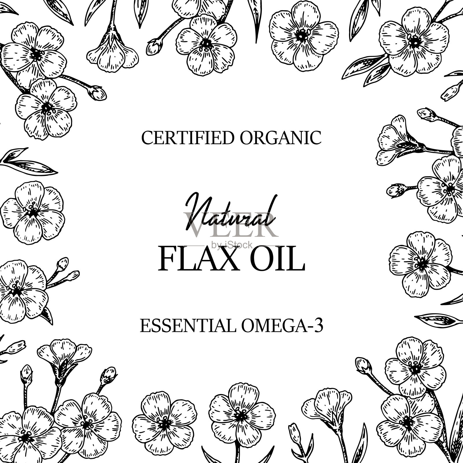 手拉亚麻框。矢量插图在草图风格为亚麻种子和油包装插画图片素材