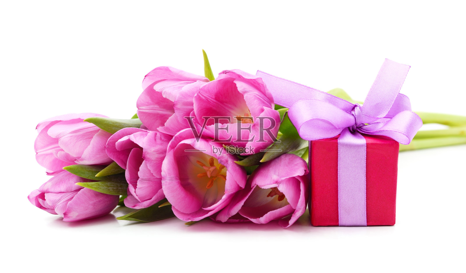 郁金香花束与礼物。照片摄影图片