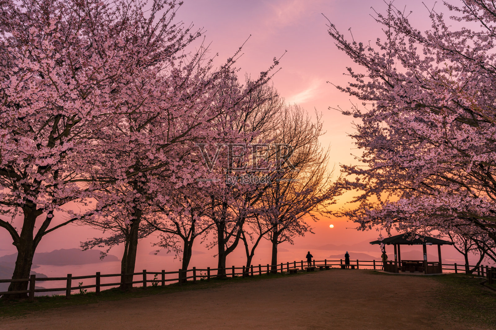 这是香川县三丰市以美丽的樱花和濑户内海而闻名的师德山照片摄影图片