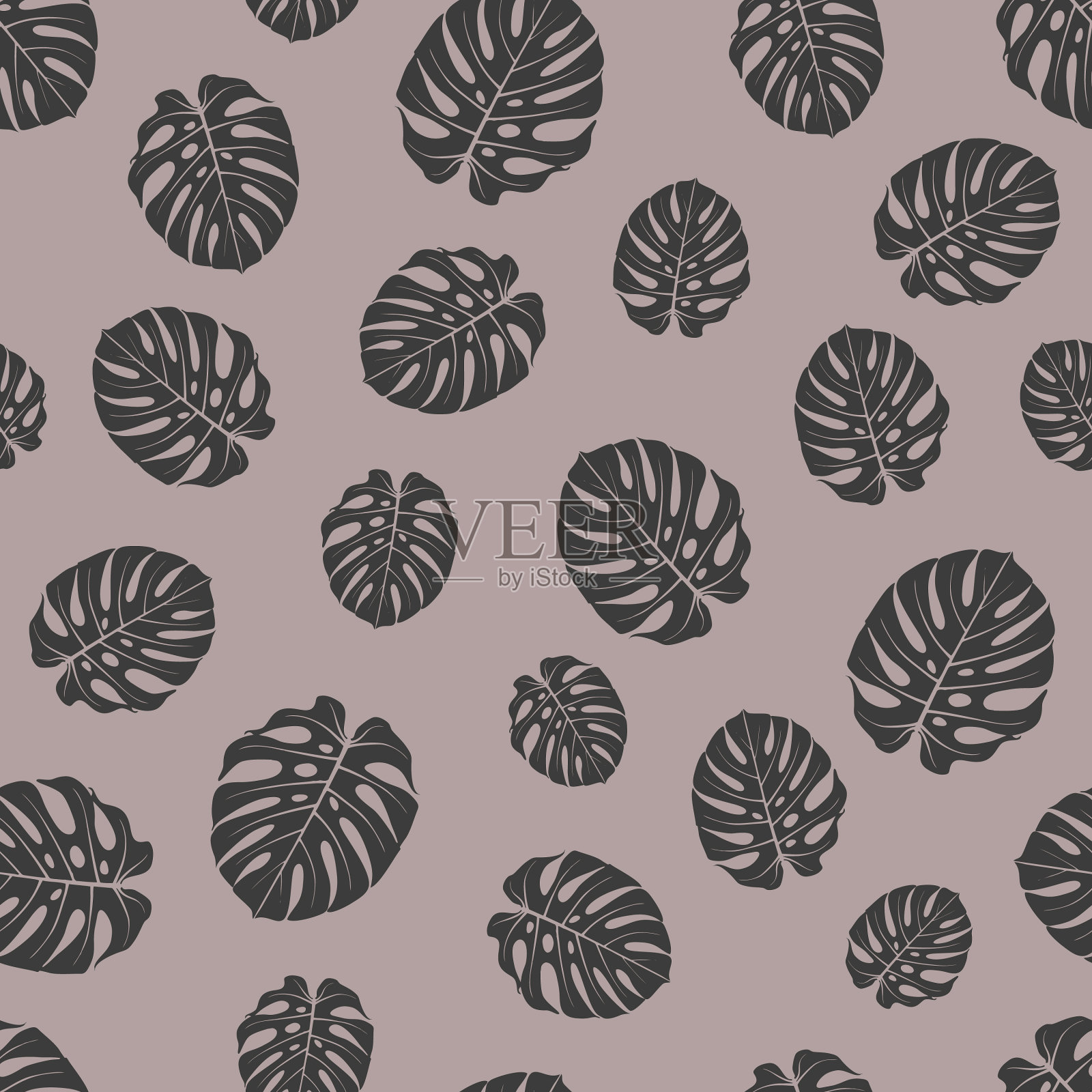 五颜六色的棕榈树的枝桠插画图片素材