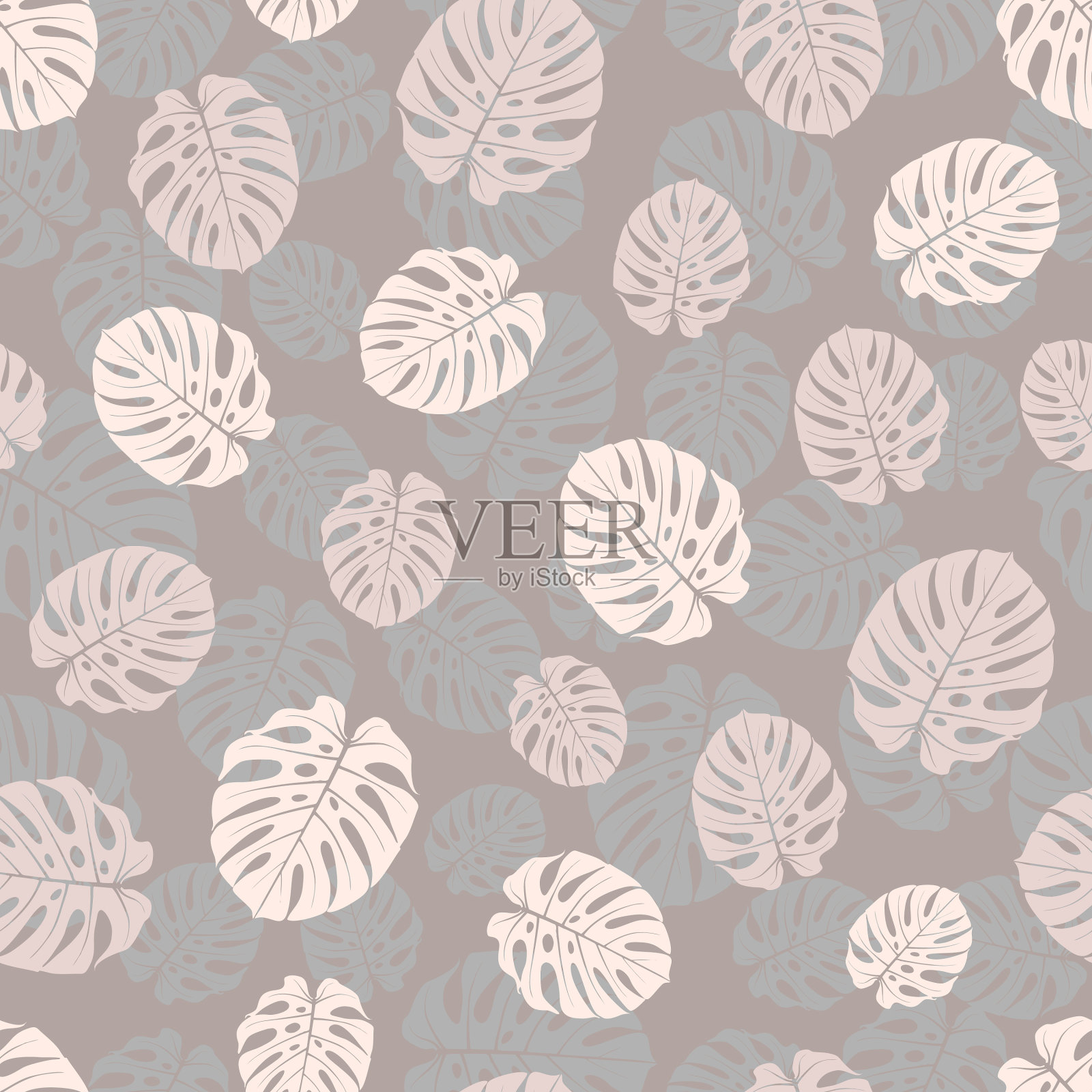 五颜六色的棕榈树的枝桠插画图片素材