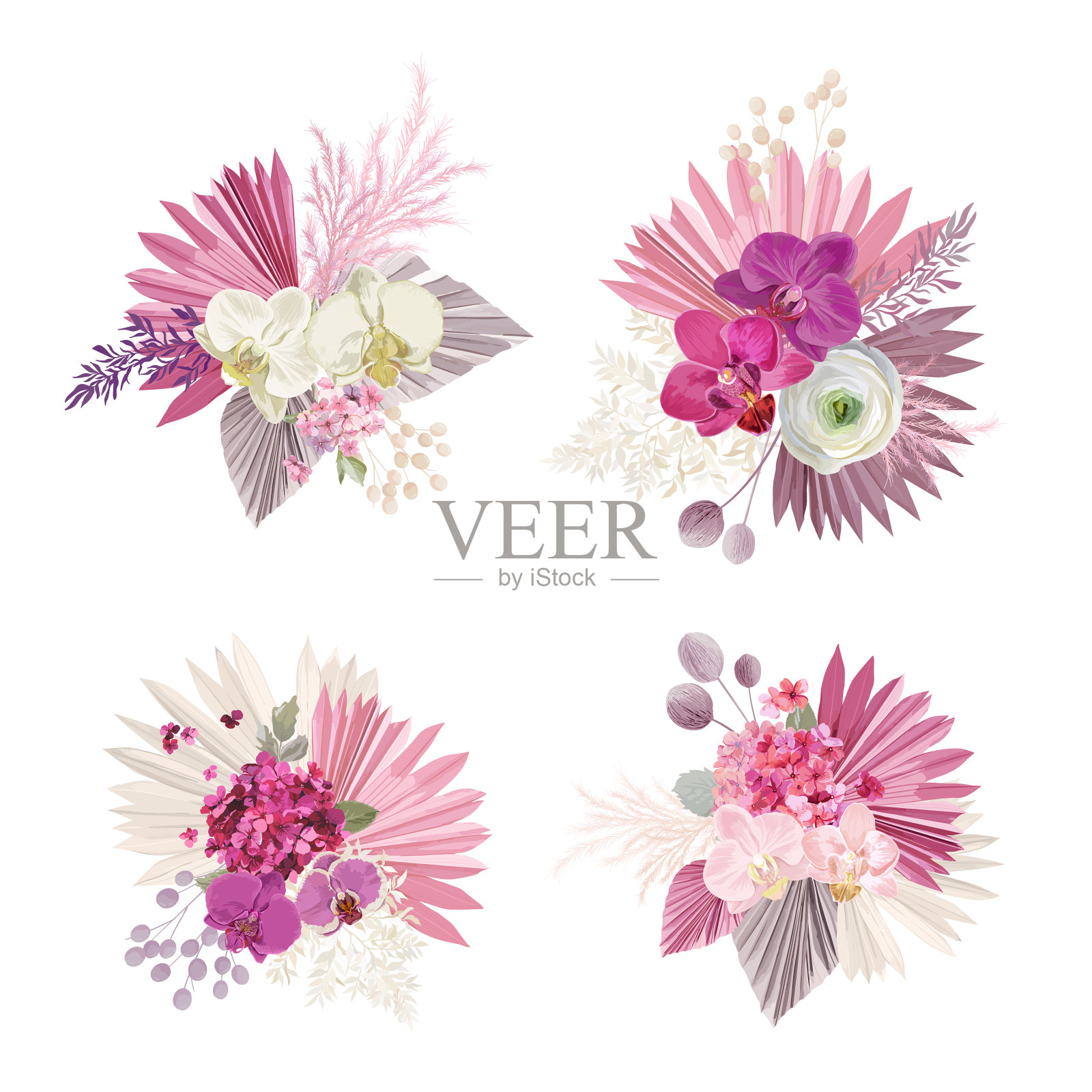 热带波西米亚花束收藏插画图片素材