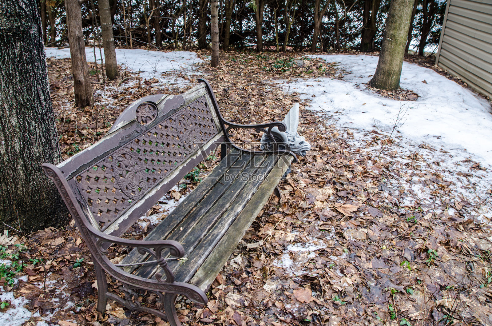 公园长椅和后院里树木繁茂的滴水嘴兽照片摄影图片