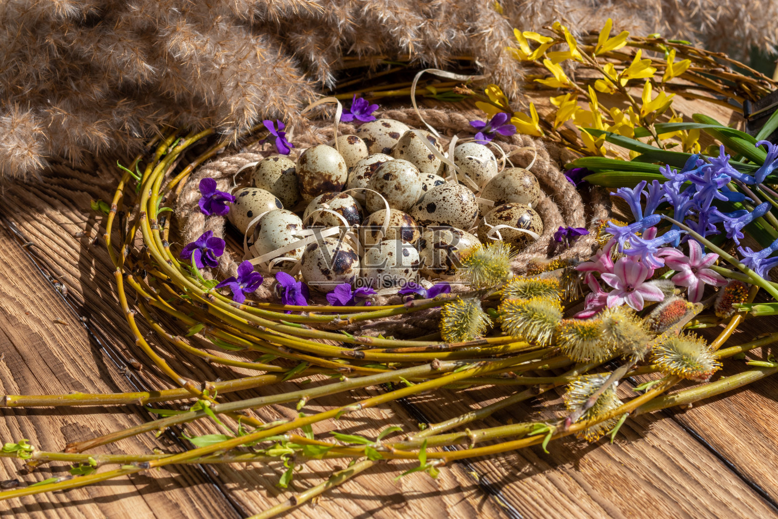 乡村风格的复活节贺卡。在未涂色的木板上，用鹌鹑蛋、柳枝和花筑巢。照片摄影图片