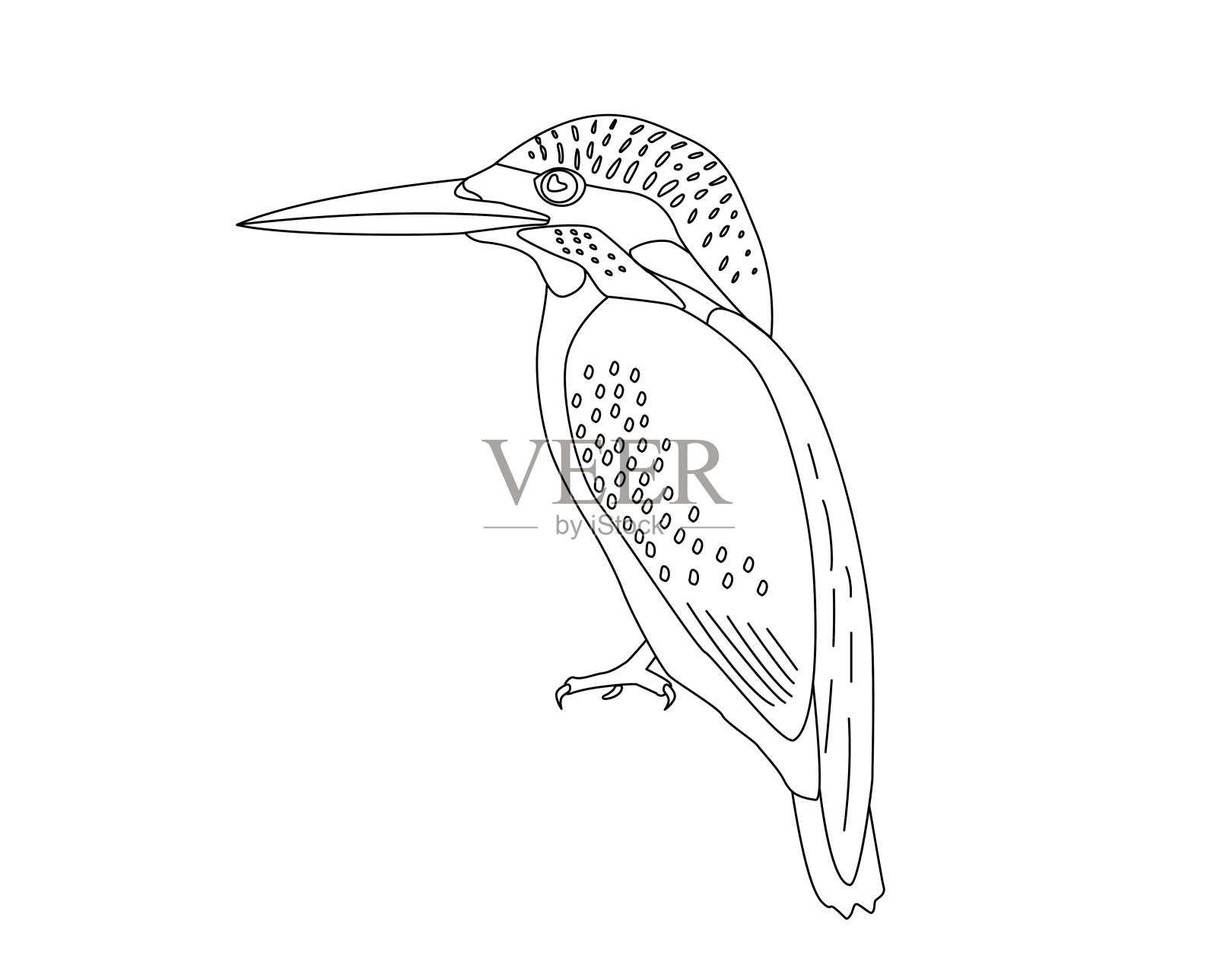 翠鸟线矢量画插画图片素材