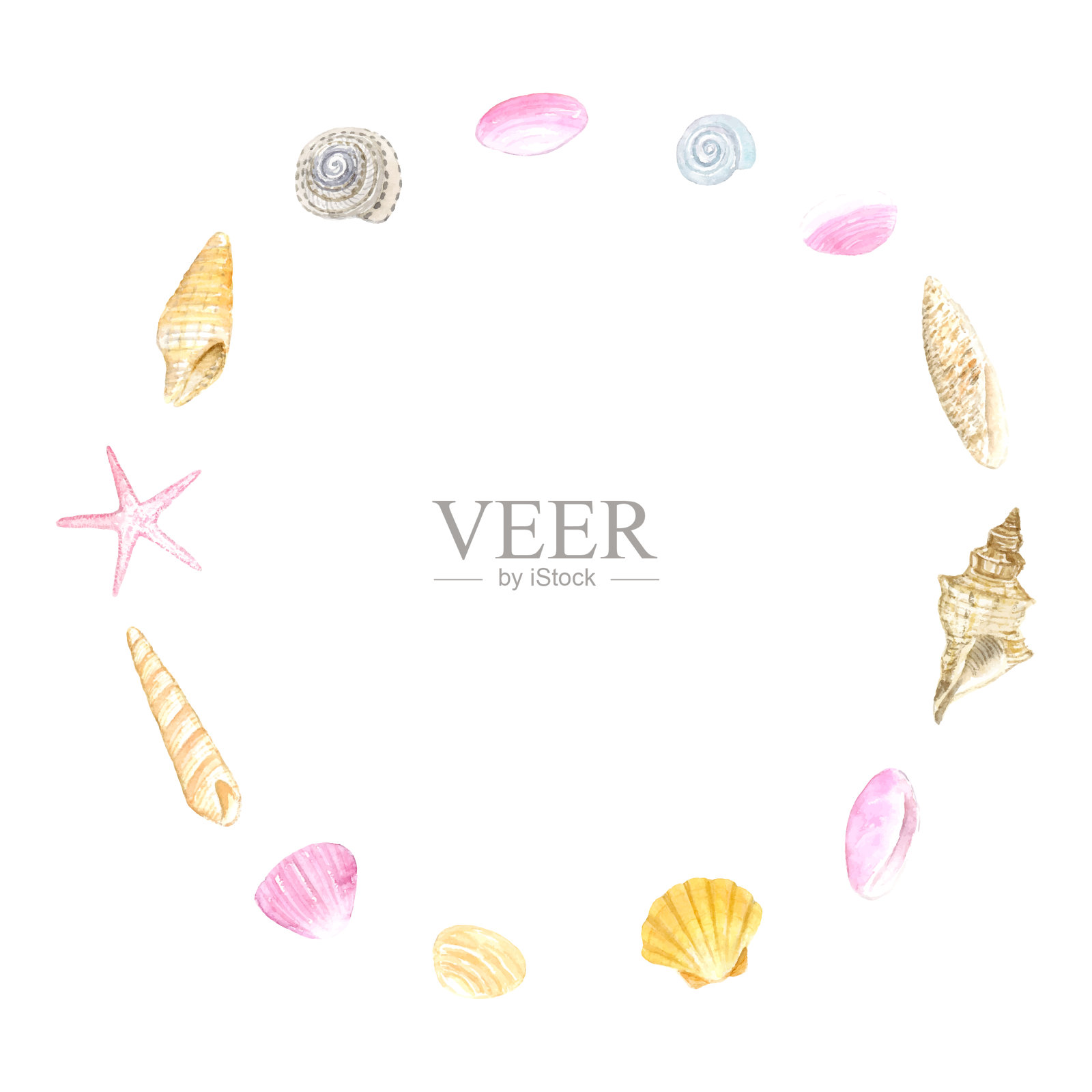 水彩画的外壳圆框架。插画图片素材