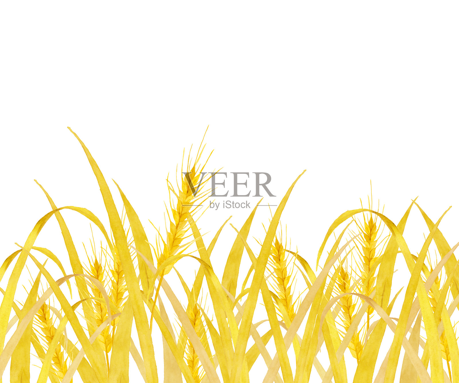 麦田插画图片素材