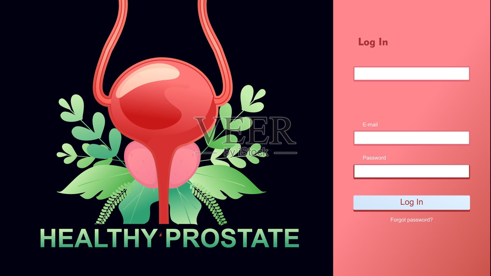 医学概念内脏前列腺插画图片素材