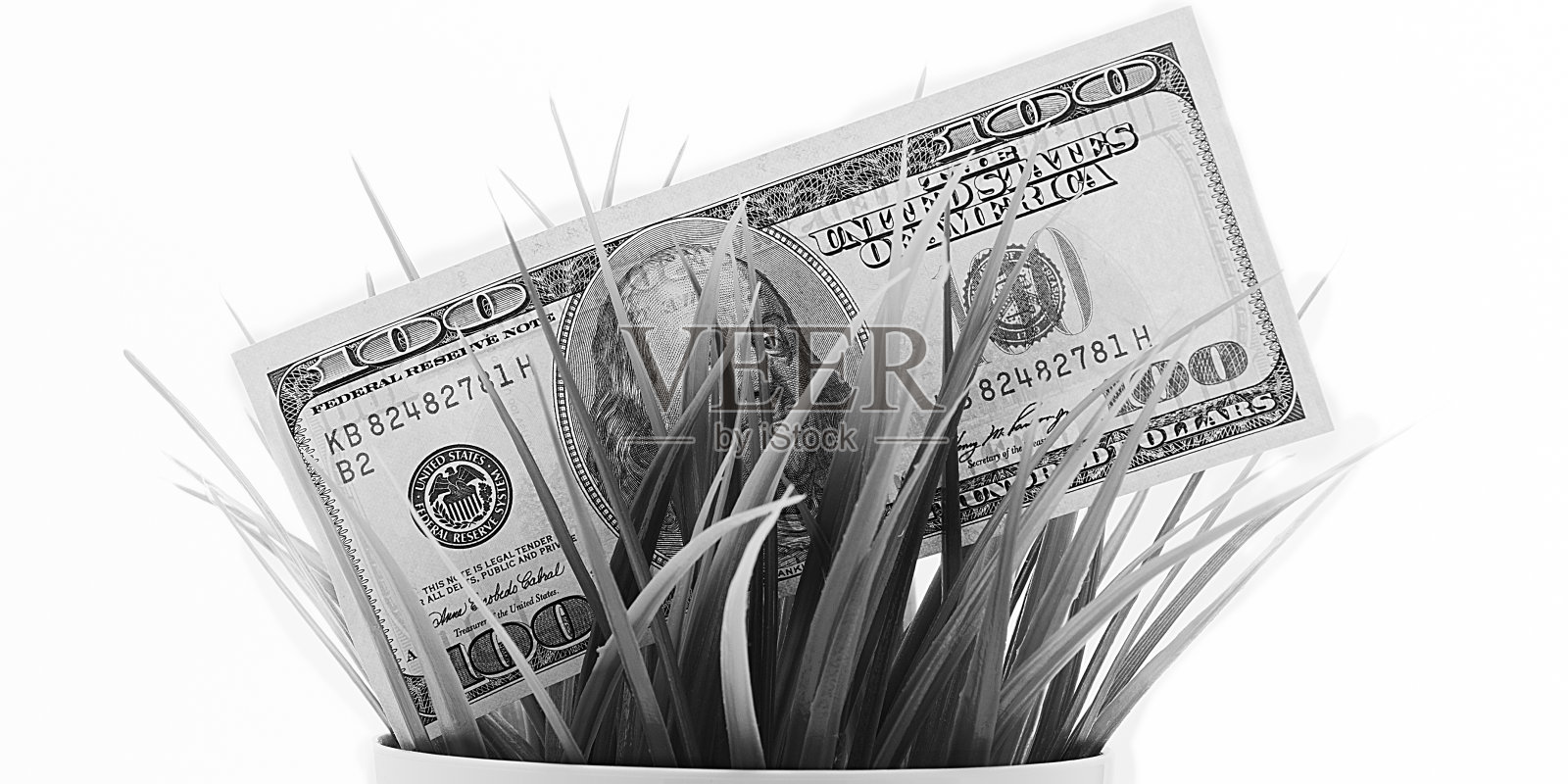 在草丛里兑换一百张美钞。照片摄影图片