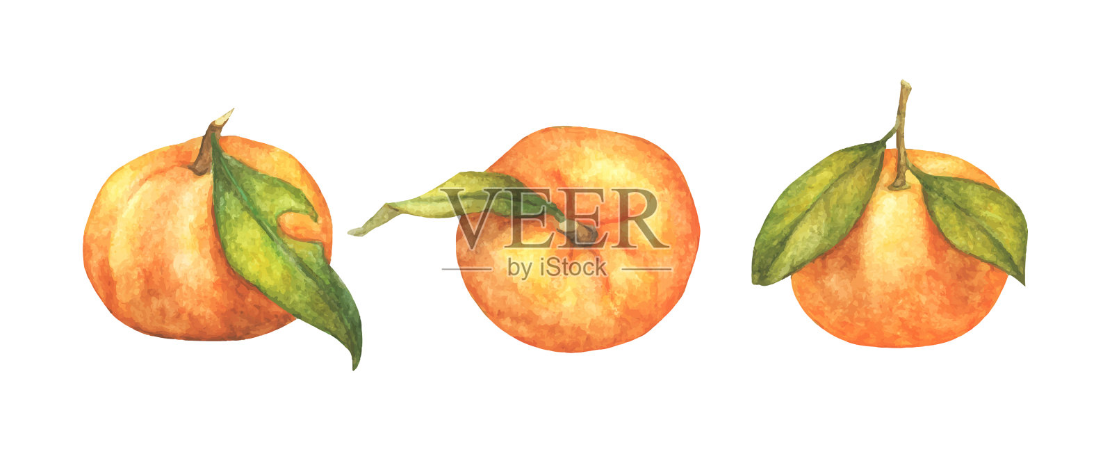 将橙子的水果设计元素图片