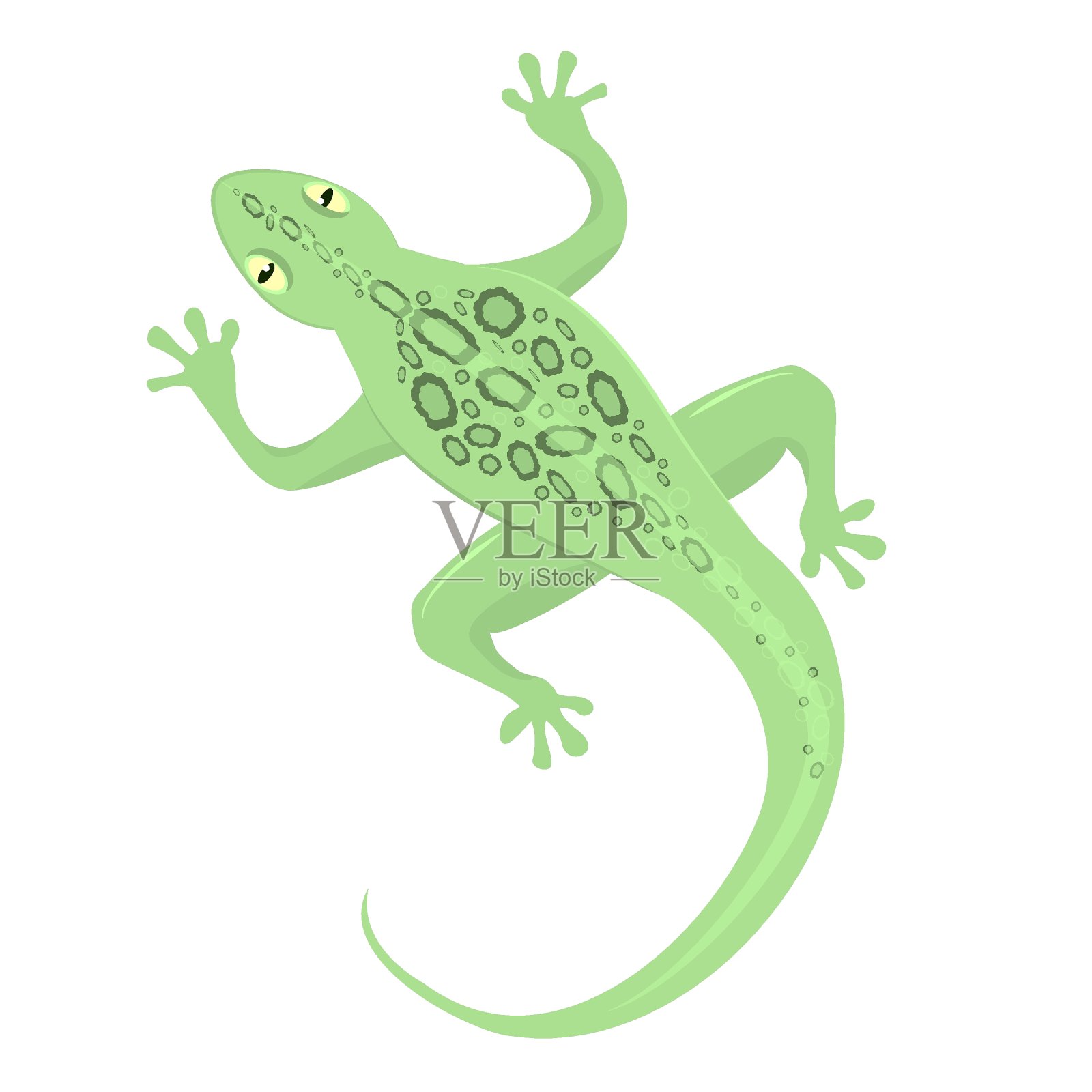 矢量插图的一个绿色蜥蜴孤立在白色的背景设计元素图片