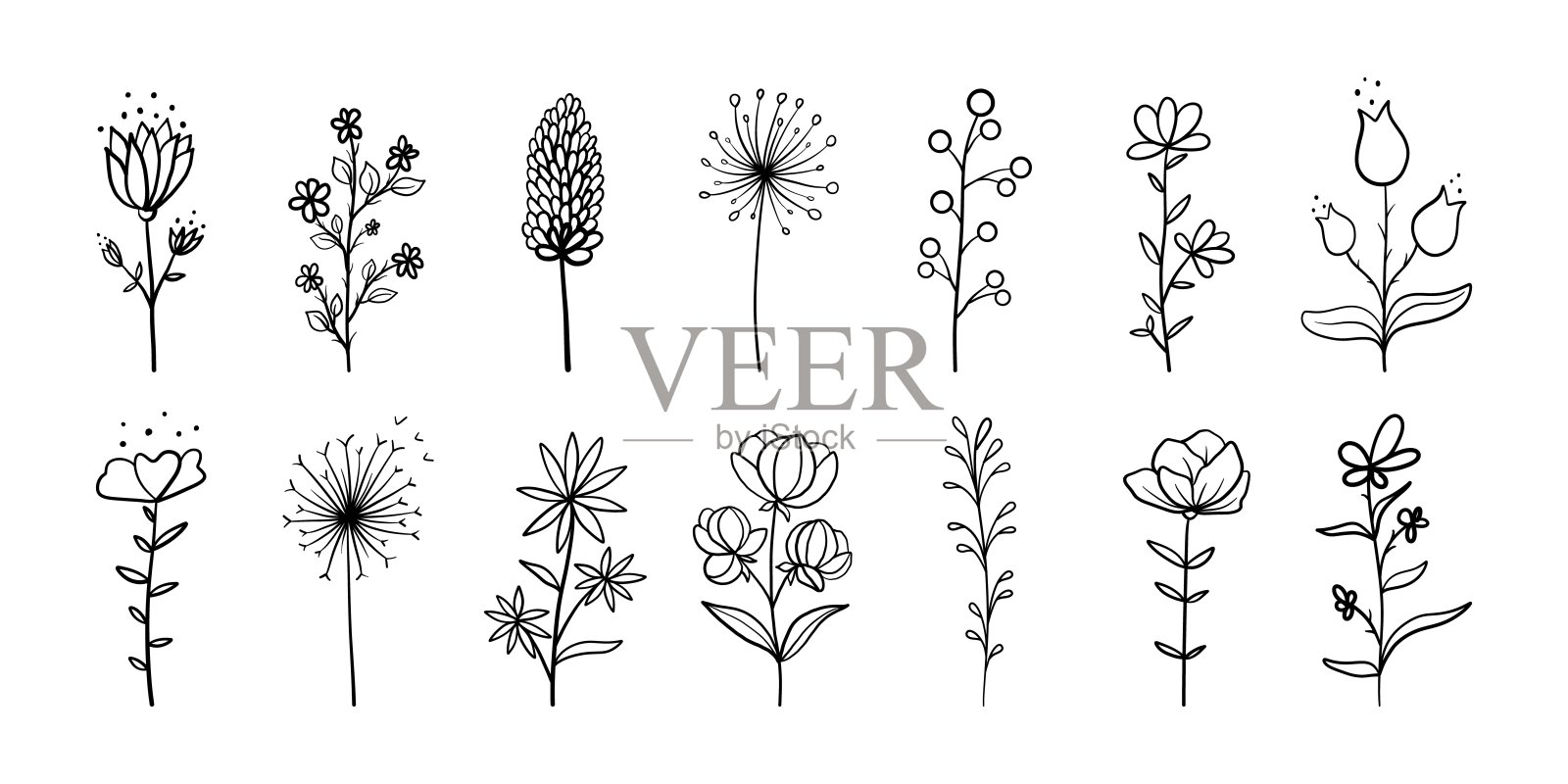 涂鸦花卉线条集。植物极简主义元素，手绘树叶，简单的花朵轮廓。矢量图插画图片素材