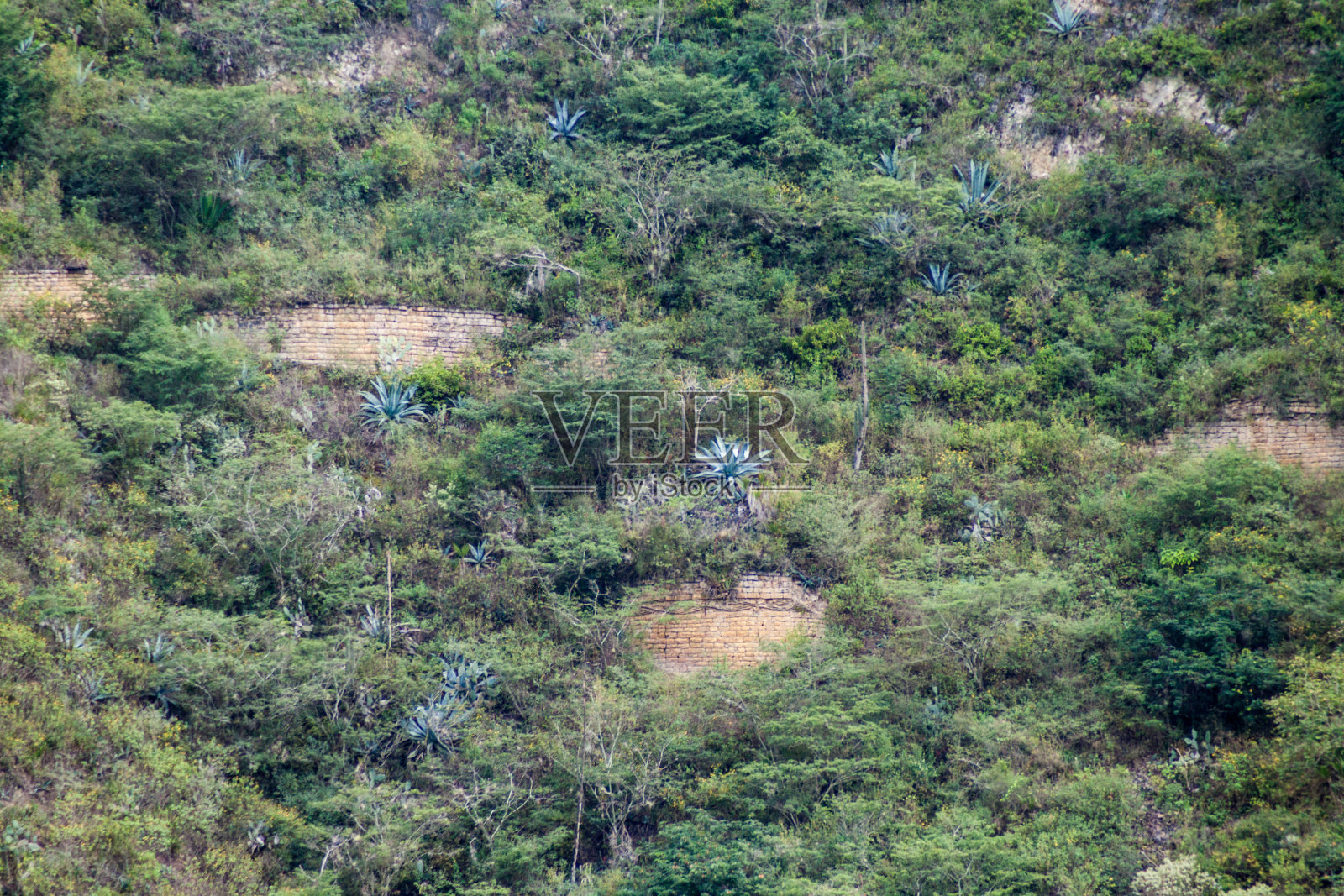 秘鲁北部山坡上的一组前印加时期的住所和墓室照片摄影图片