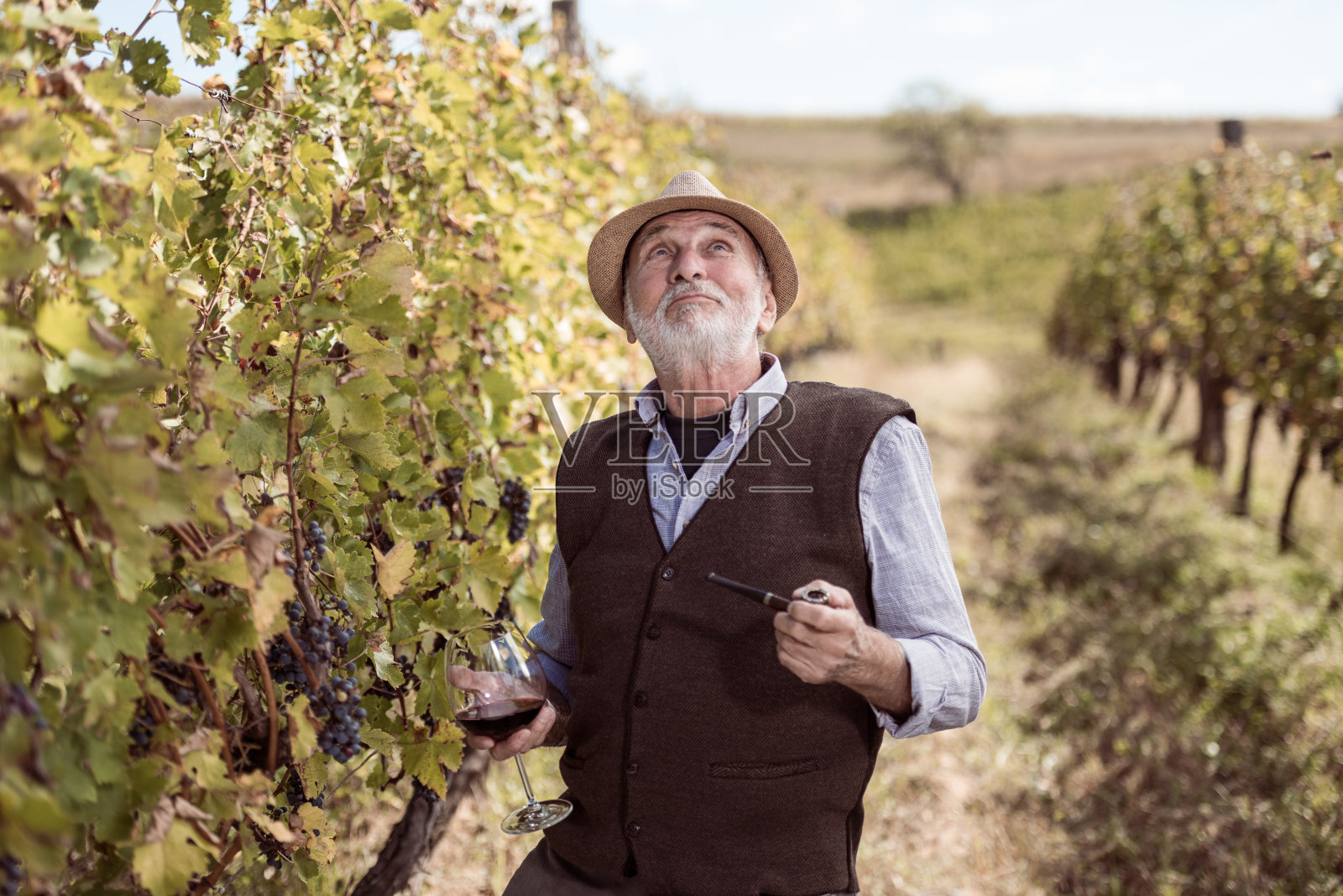 酒时间!照片摄影图片
