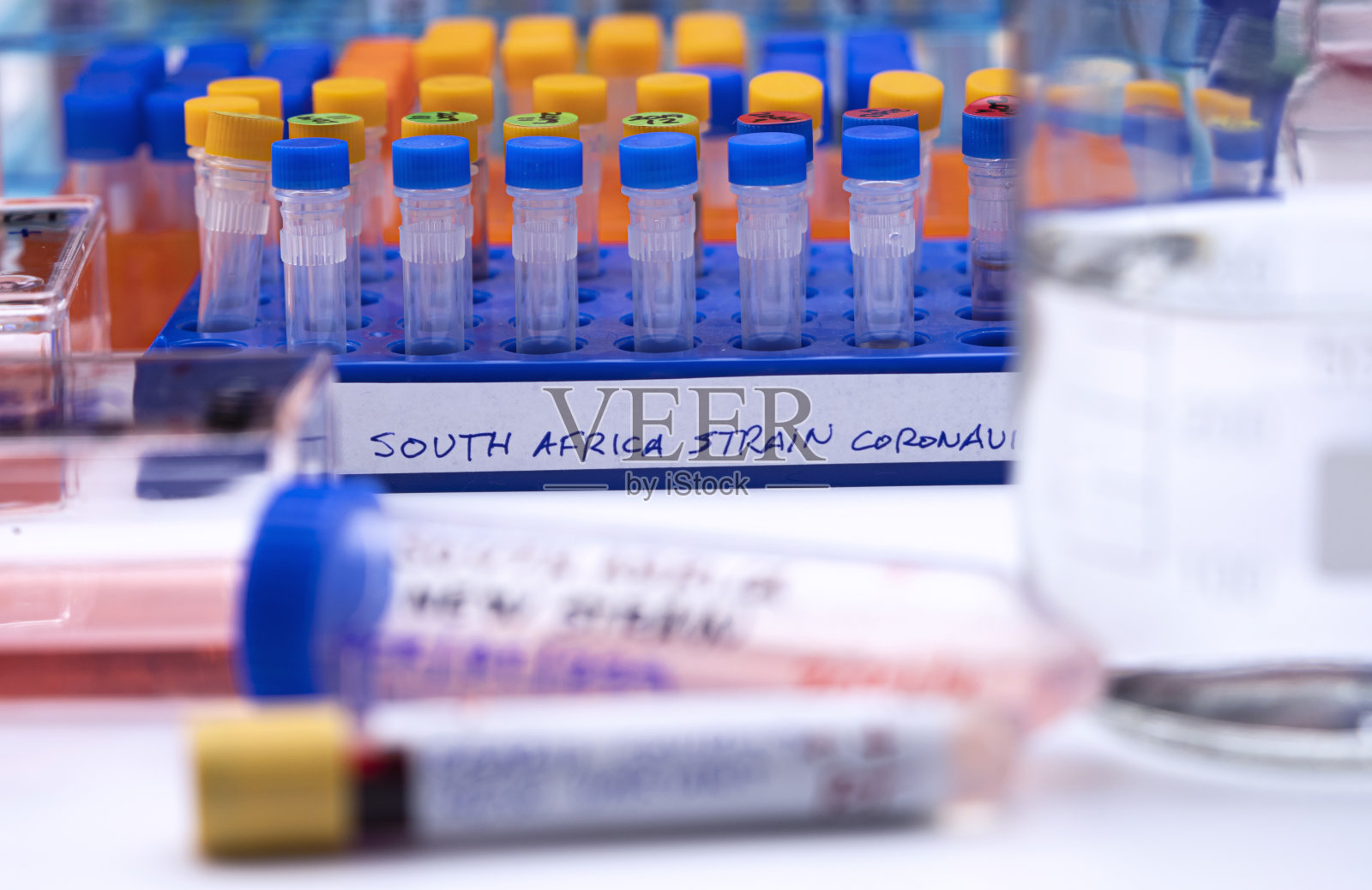 南非新变种covid-19感染数瓶阳性，概念形象。照片摄影图片
