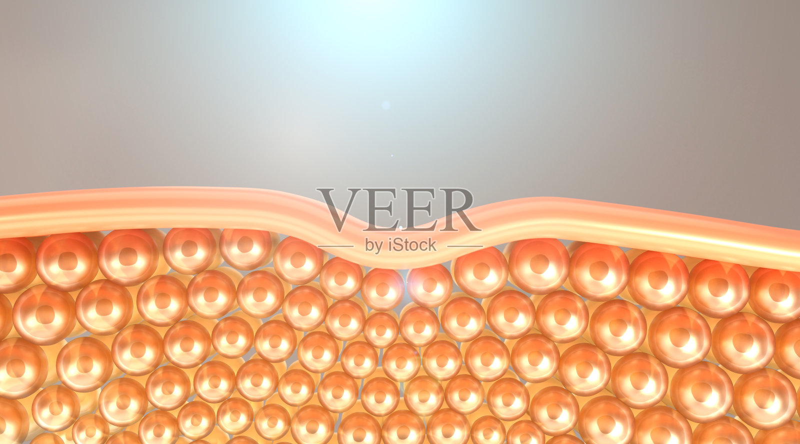 3d皮肤细胞显微镜下，皮肤松弛的皮肤细胞，皮肤层向上。照片摄影图片