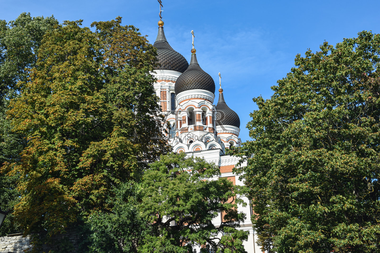 塔林城市建筑、塔楼、街道照片摄影图片