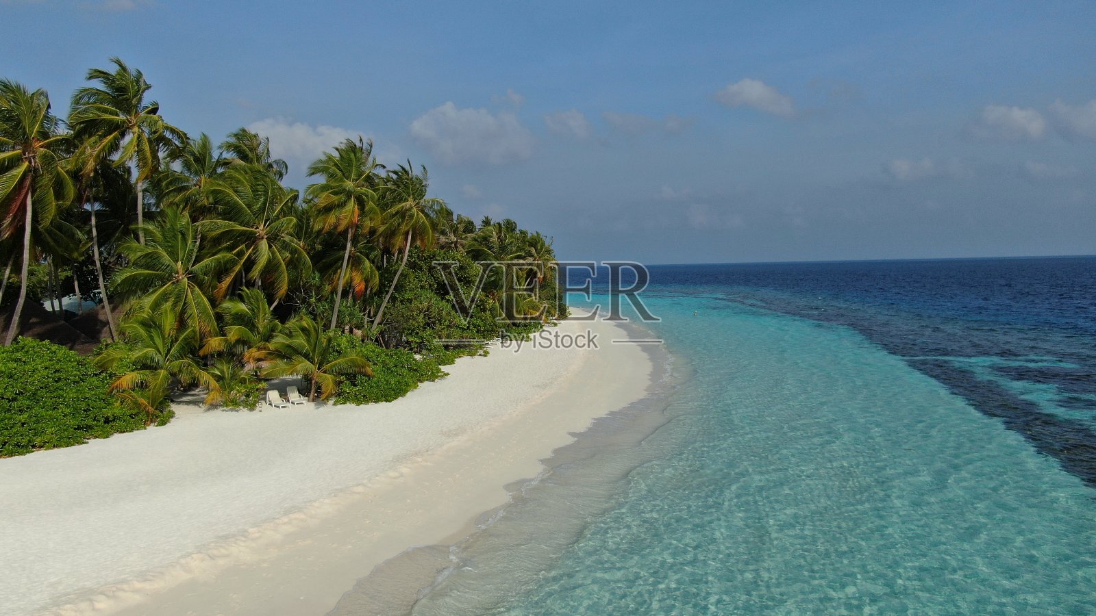 马尔代夫的沙滩上有棕榈树和绿松石般的海水照片摄影图片