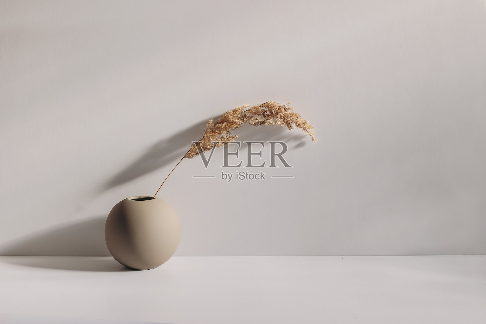 摩登夏秋静物照。米色球形花瓶与干羊茅在阳光下长阴影。米色桌墙背景。空副本空间。优雅的生活方式装饰场景。照片摄影图片