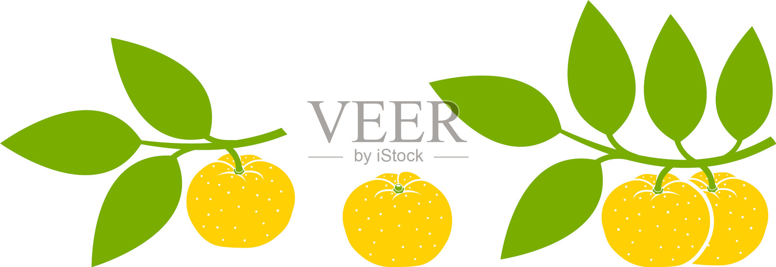 柚子果设计元素图片