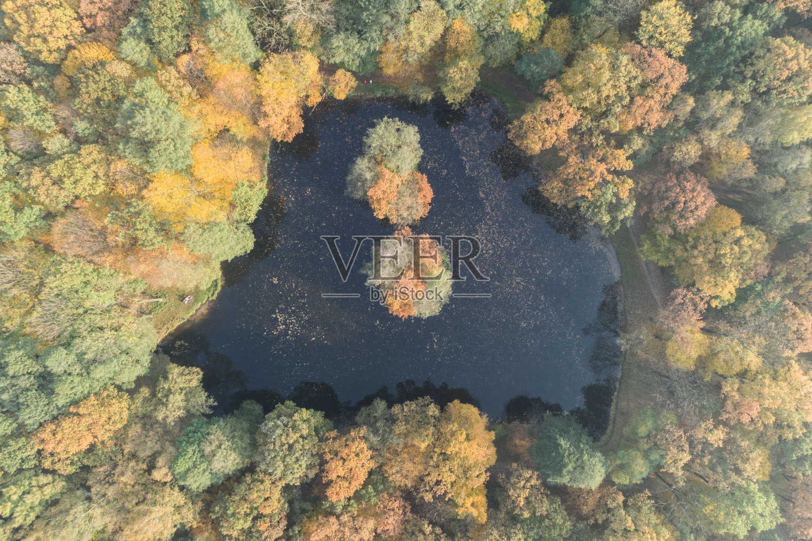 从上面俯瞰城市的绿色公园。波兰西里西亚的德布罗瓦·戈尔尼察绿色公园，无人机拍摄照片摄影图片