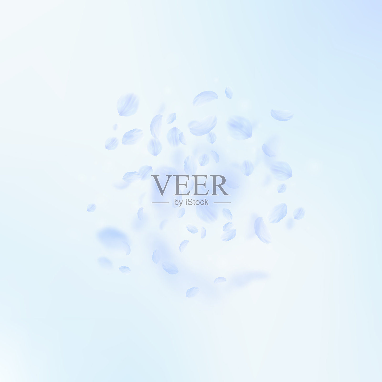 淡蓝色的花瓣飘落下来美丽的r插画图片素材