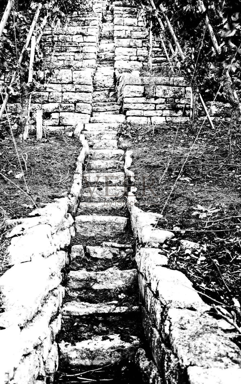 陡峭的葡萄园楼梯之间的葡萄园墙由天然石材在黑色和白色照片摄影图片