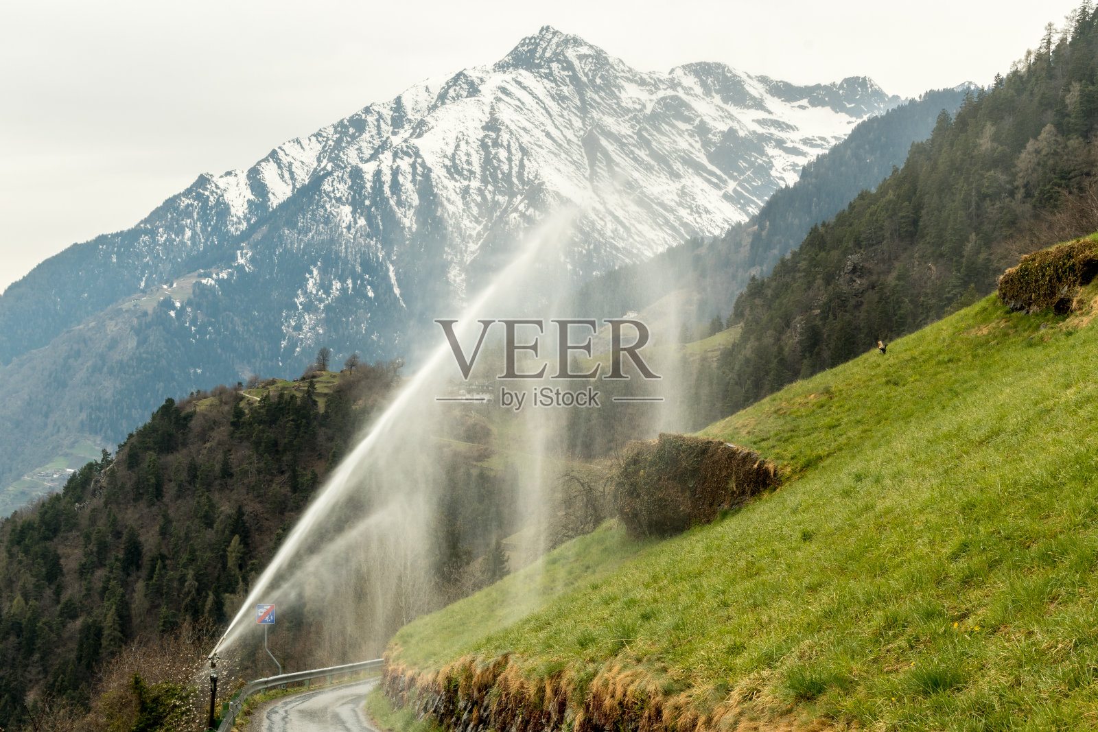 在意大利南蒂罗尔Merano (Meran)附近，用Cima di Tel - Zielspitze山为背景进行农田灌溉(Gruppo del Tessa, Texelgruppe) - Südtirol -上阿迪杰照片摄影图片