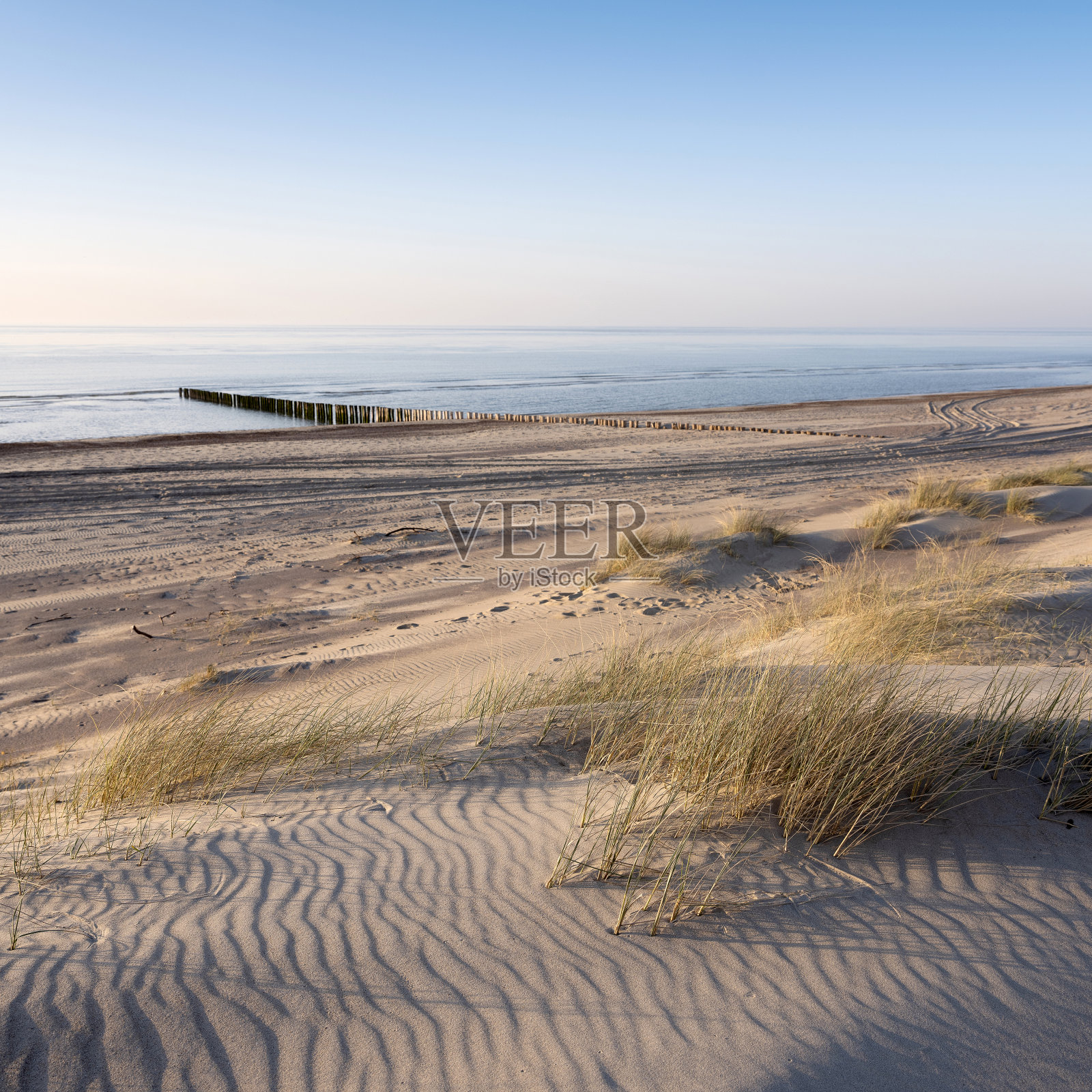 泽兰省荷兰北海海岸的沙丘和荒芜的海滩照片摄影图片