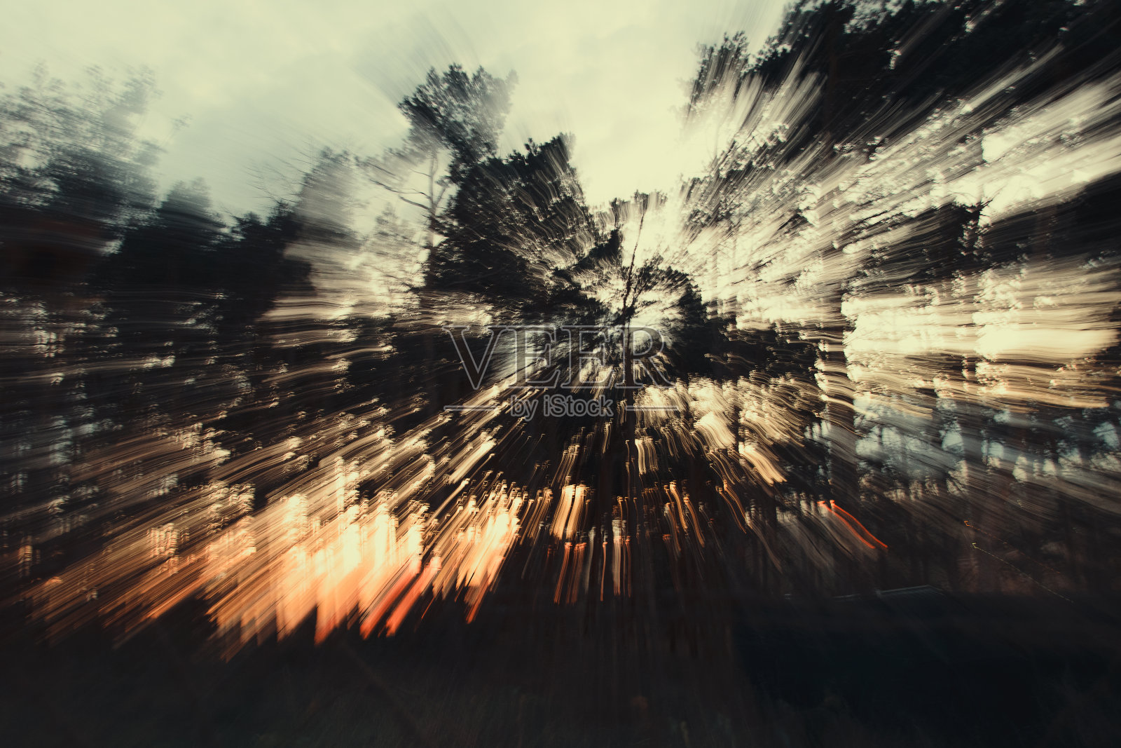 摘要森林摄影照片摄影图片