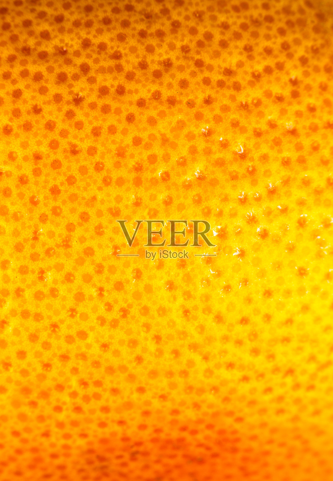 近距离的照片柚子皮纹理。外来熟果背景，宏观观。人类皮肤问题的概念，粉刺和脂肪团。照片摄影图片