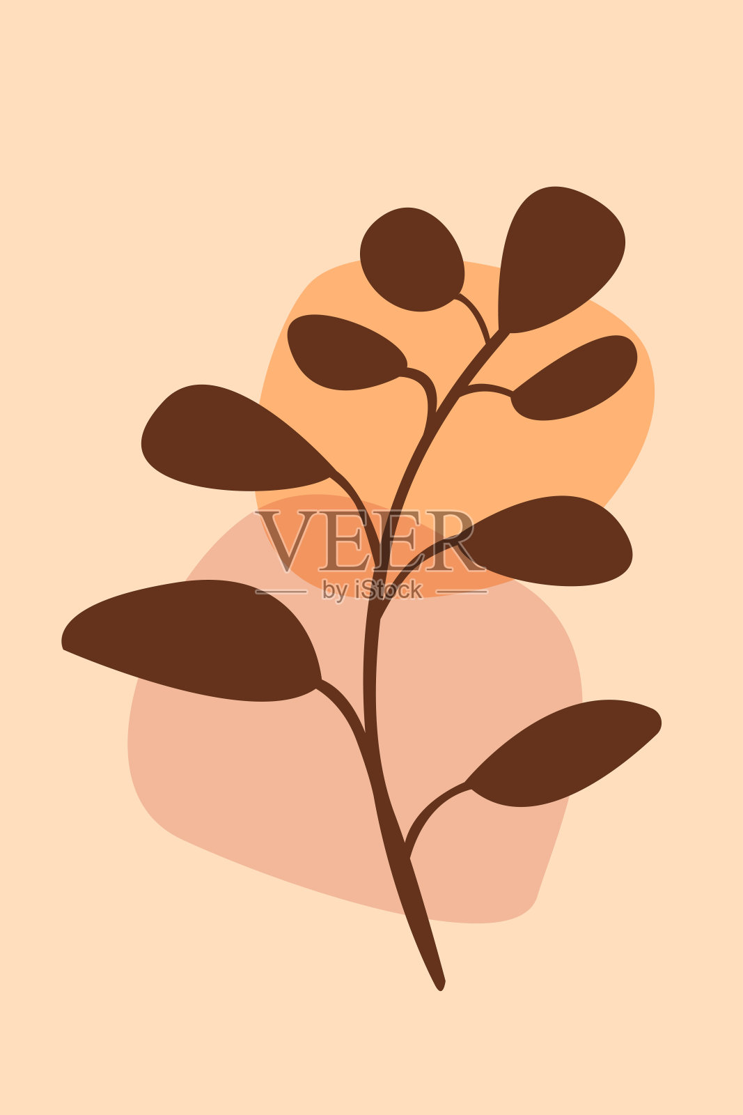 矢量抽象波西米亚海报。极简的当代花卉设计插画图片素材