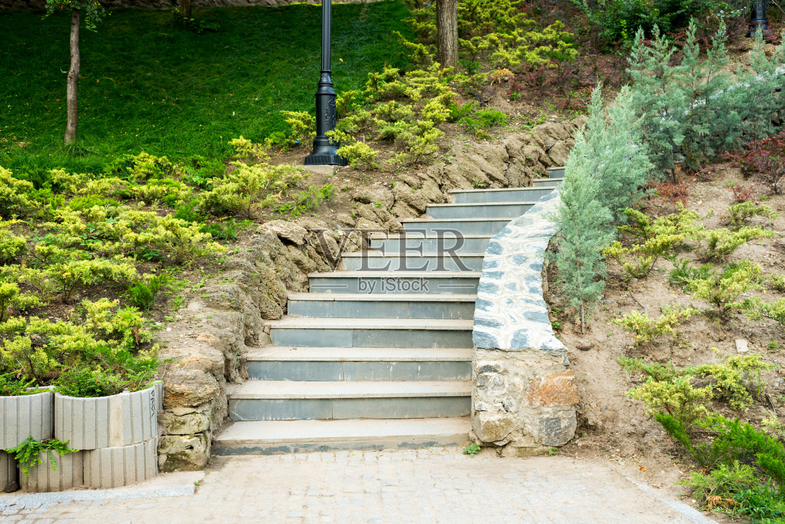 公园里的台阶照片摄影图片