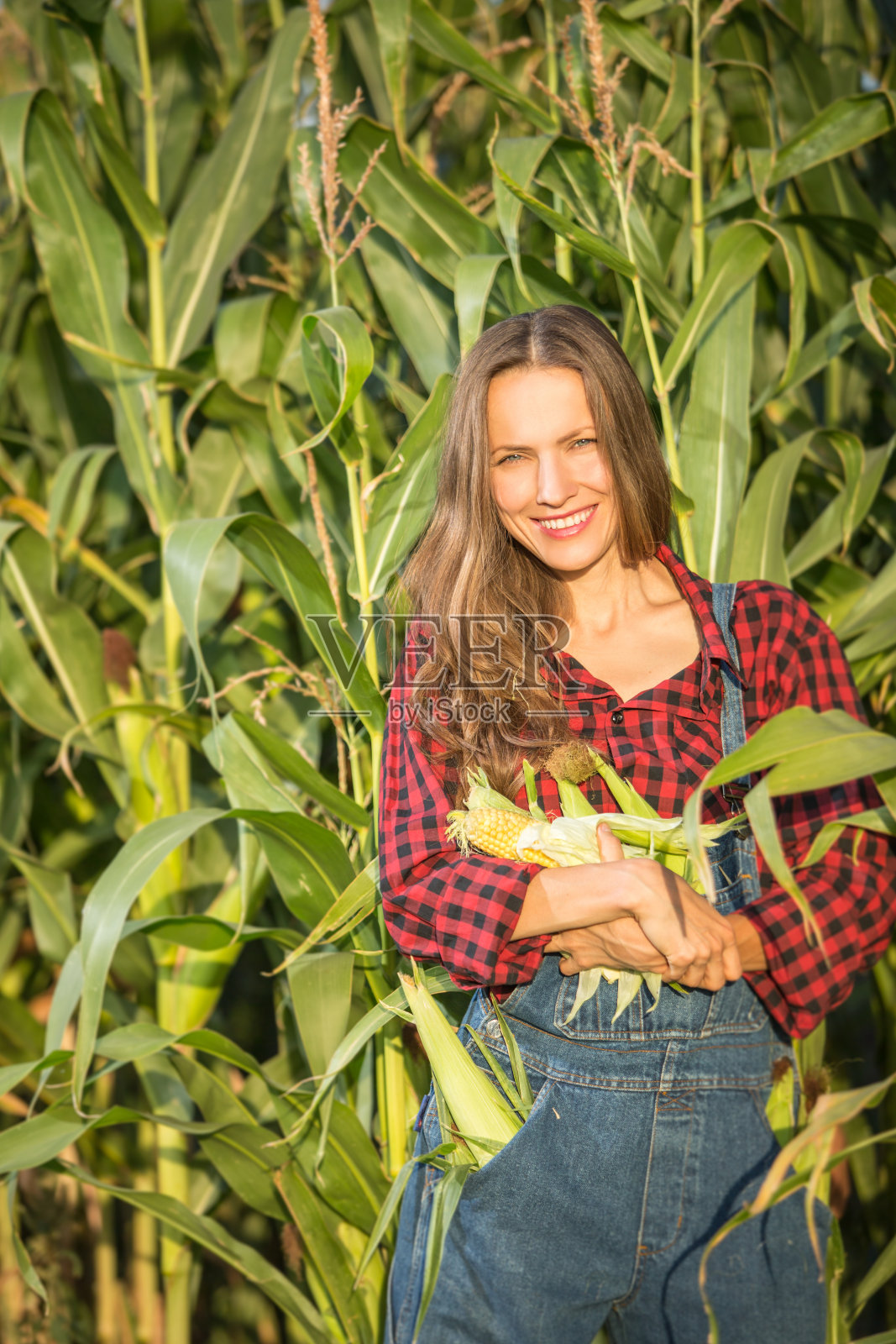 抱着新鲜蔬菜的女农民或园丁照片摄影图片