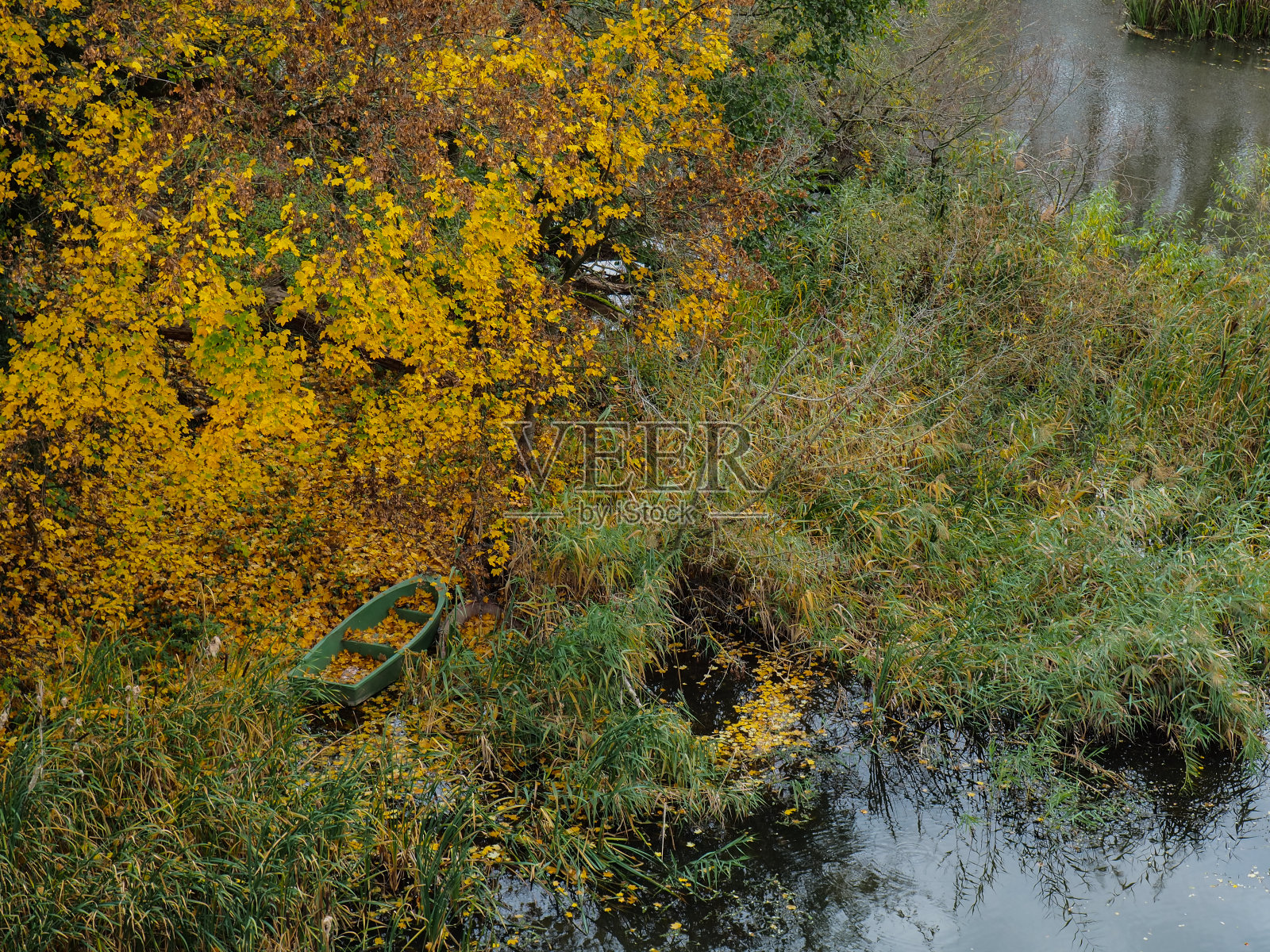 秋天的公园6照片摄影图片