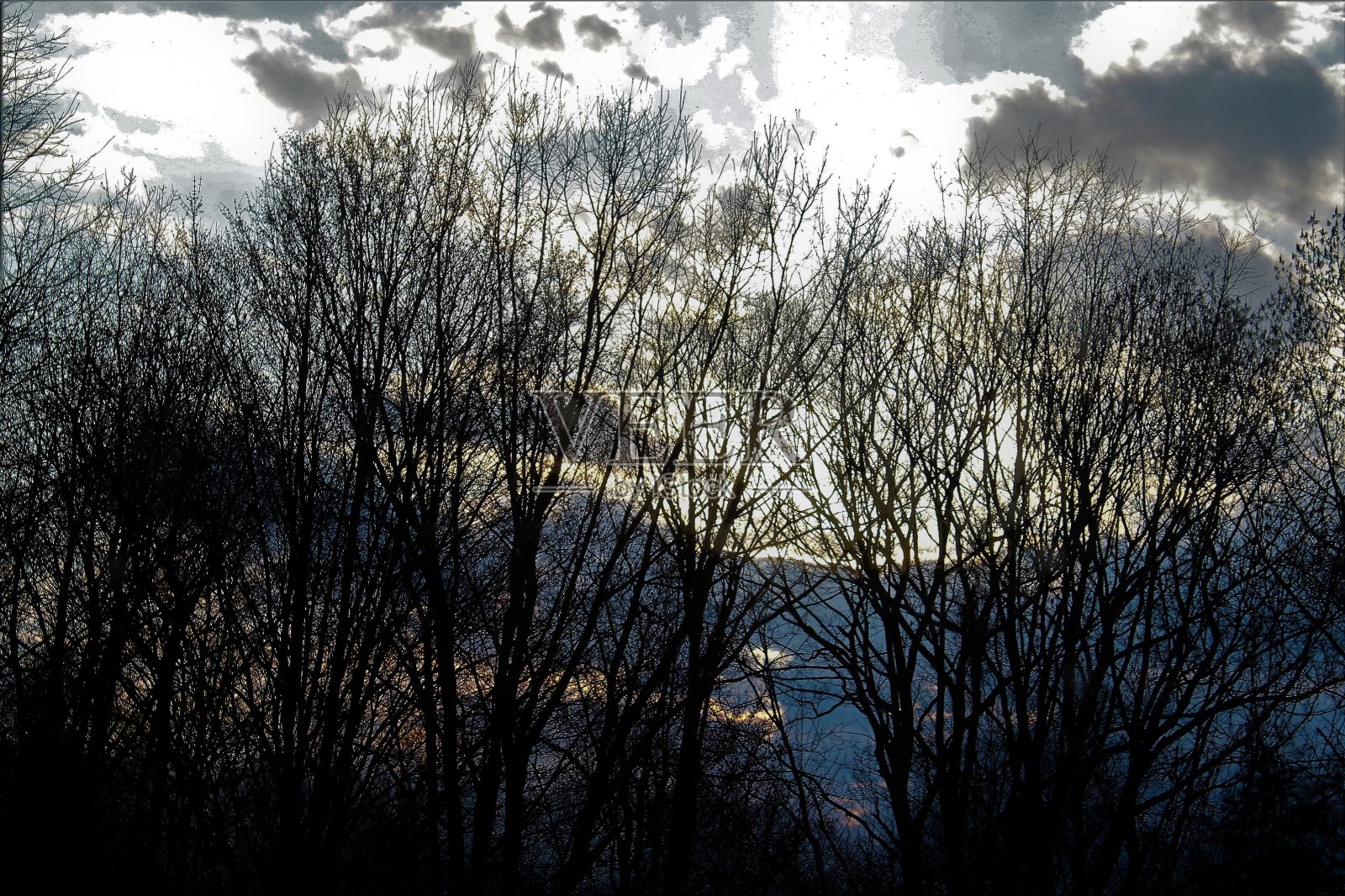 皇室免费照片-早春的早晨在黎明-完美的天空后面的田园宾夕法尼亚州风景-云景背景的网站，博客摄影，或广告-在早晨的天堂的观点-树线和壮观的天空上方-森林照片摄影图片