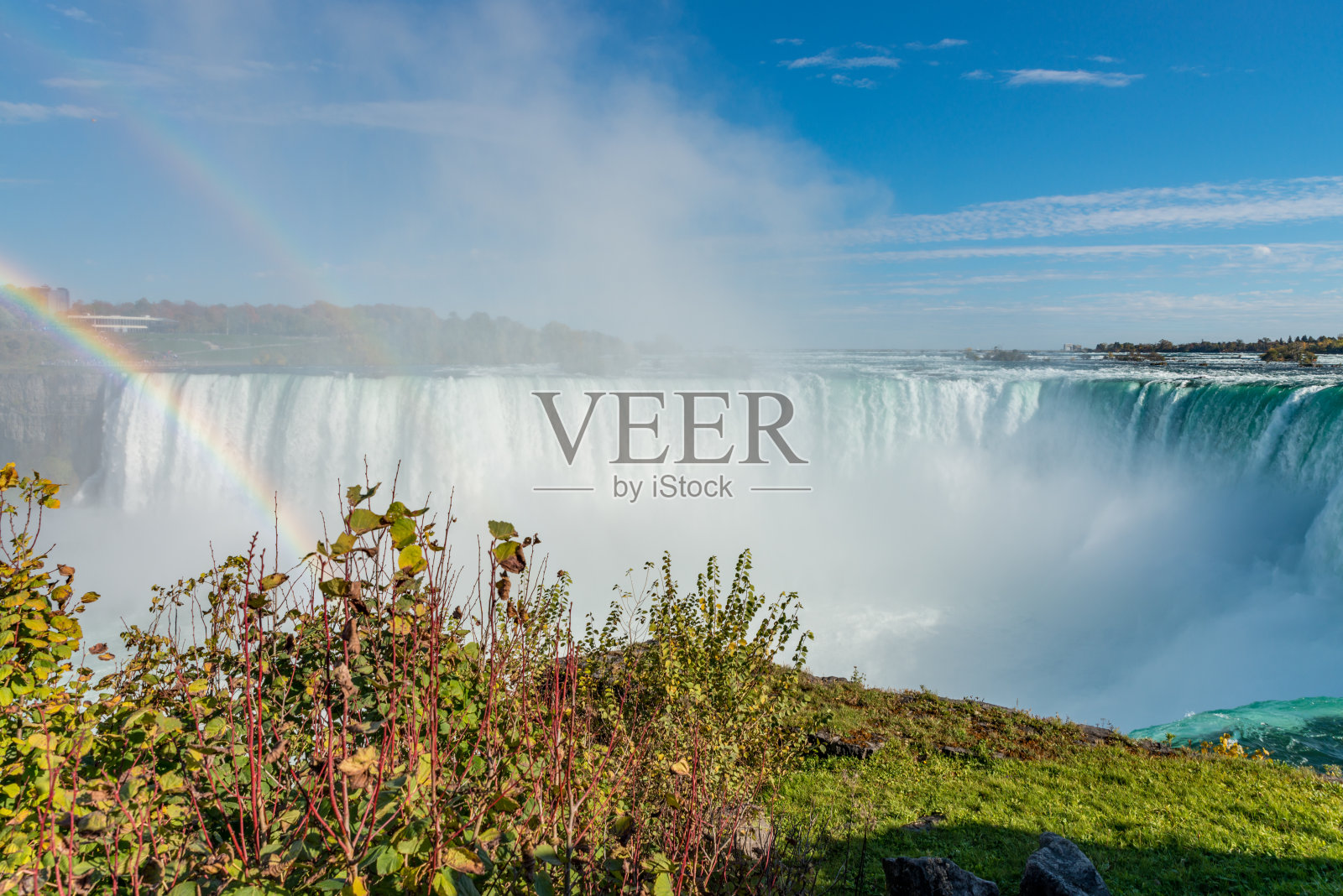 马蹄瀑布顶部边缘的草丛和灌木丛照片摄影图片
